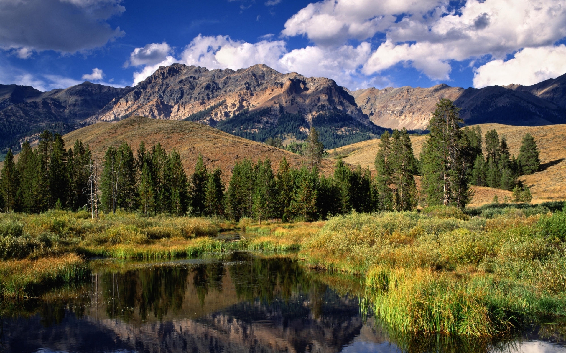 Laden Sie das Landschaft, Bäume, Mountains-Bild kostenlos auf Ihren PC-Desktop herunter