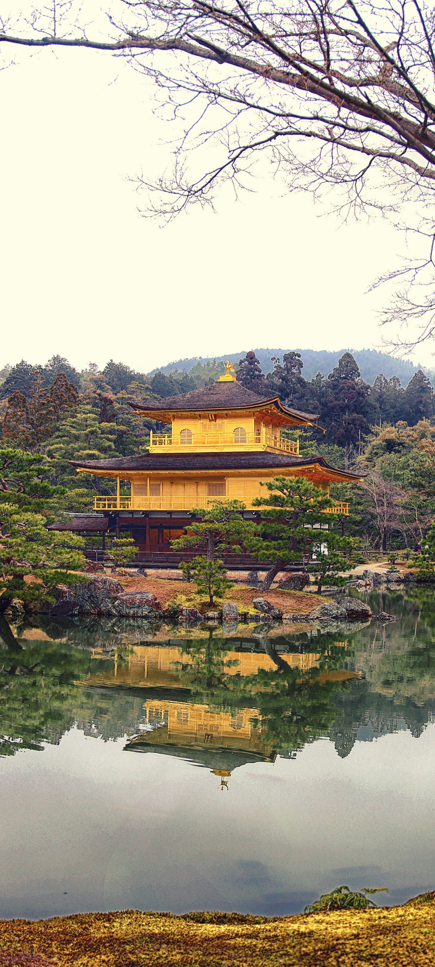 1186212 baixar papel de parede religioso, kinkaku ji, quioto, reflexão, reflecção, o templo do pavilhão dourado, templo dourado, japão, templos - protetores de tela e imagens gratuitamente