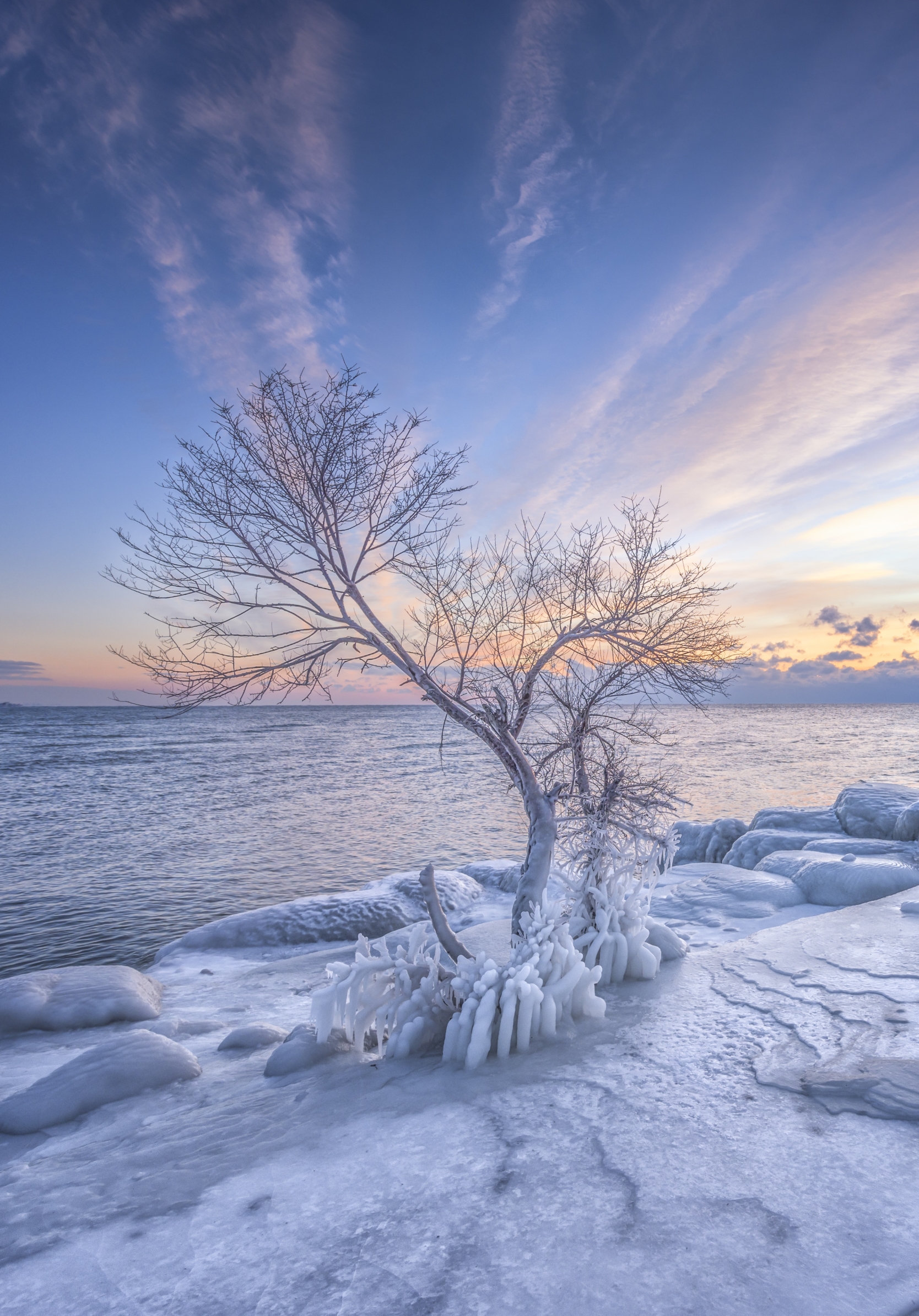 Descarga gratuita de fondo de pantalla para móvil de Invierno, Hielo, Nieve, Árbol, Tierra/naturaleza.