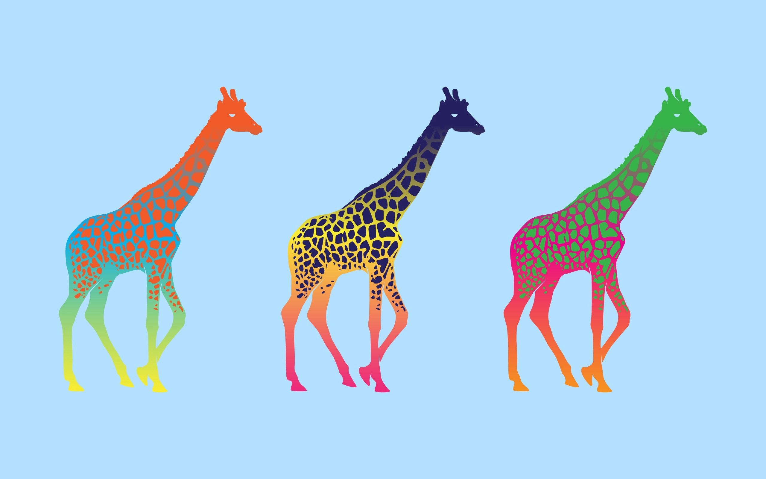 123317 скачать обои разноцветные, жирафы, вектор, три, ряд - заставки и картинки бесплатно