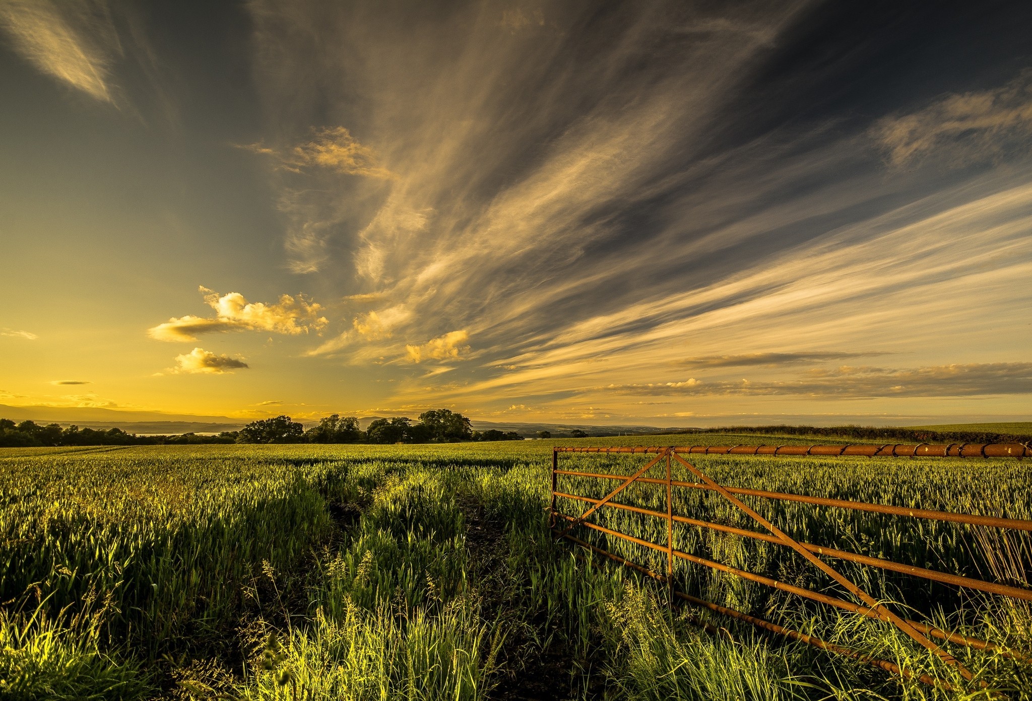 Free download wallpaper Sunrise, Earth, Field on your PC desktop