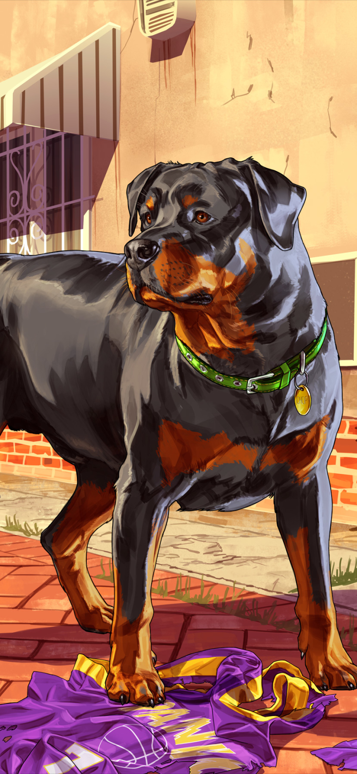Download mobile wallpaper Dog, Rottweiler, Video Game, Grand Theft Auto, Grand Theft Auto V, Chop (Grand Theft Auto) for free.