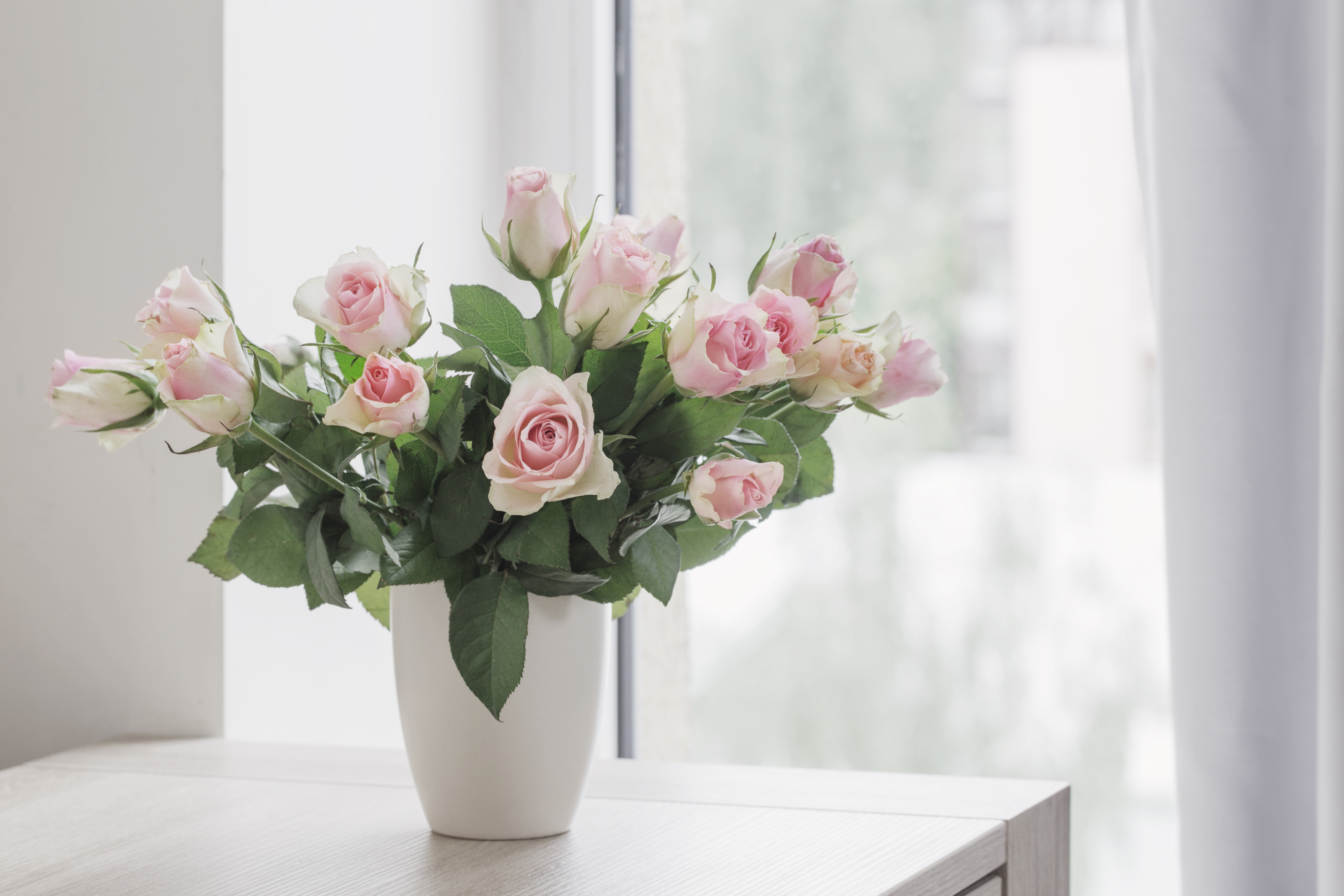 Handy-Wallpaper Blume, Rose, Strauß, Menschengemacht kostenlos herunterladen.
