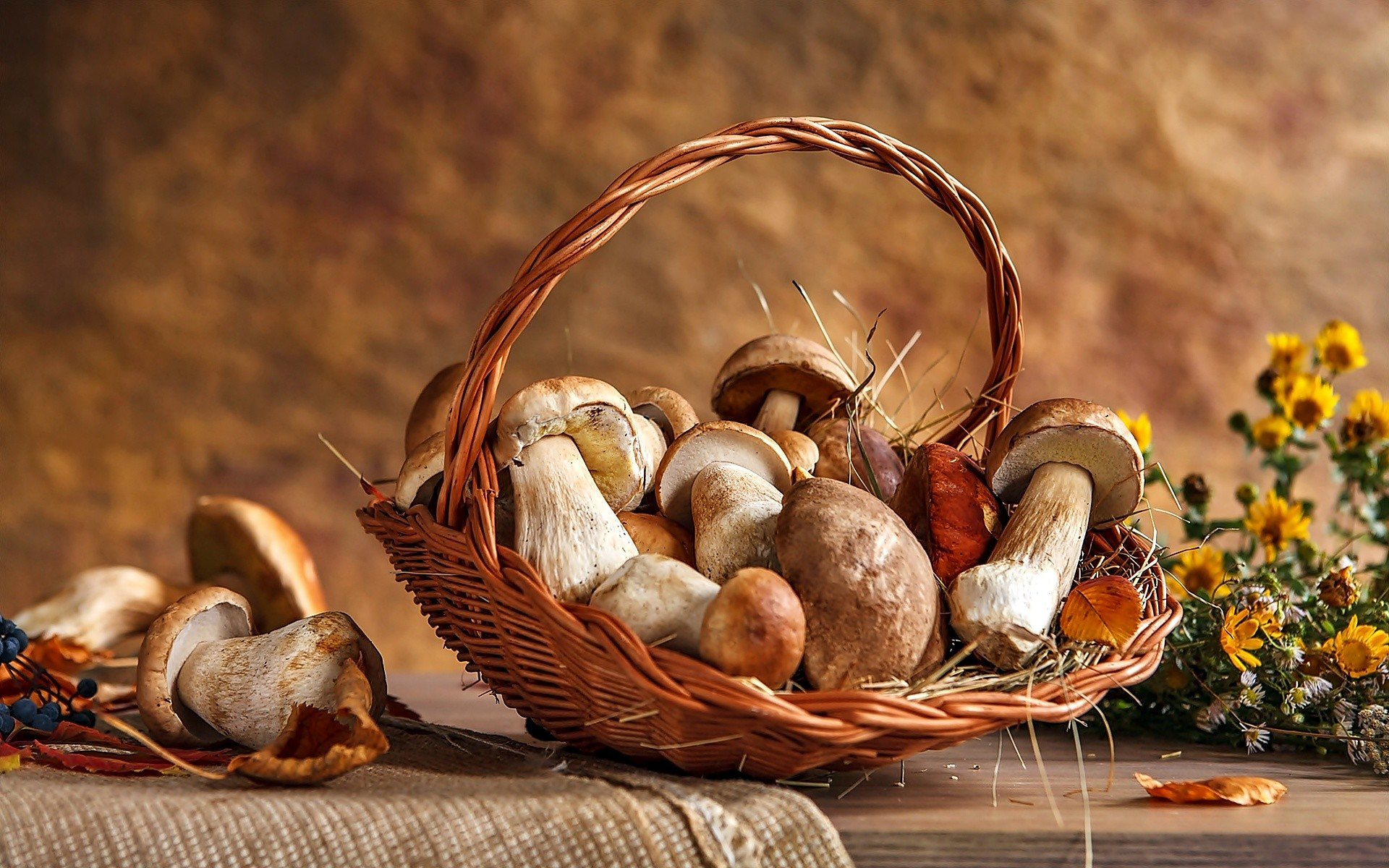 Laden Sie das Pilz, Nahrungsmittel-Bild kostenlos auf Ihren PC-Desktop herunter