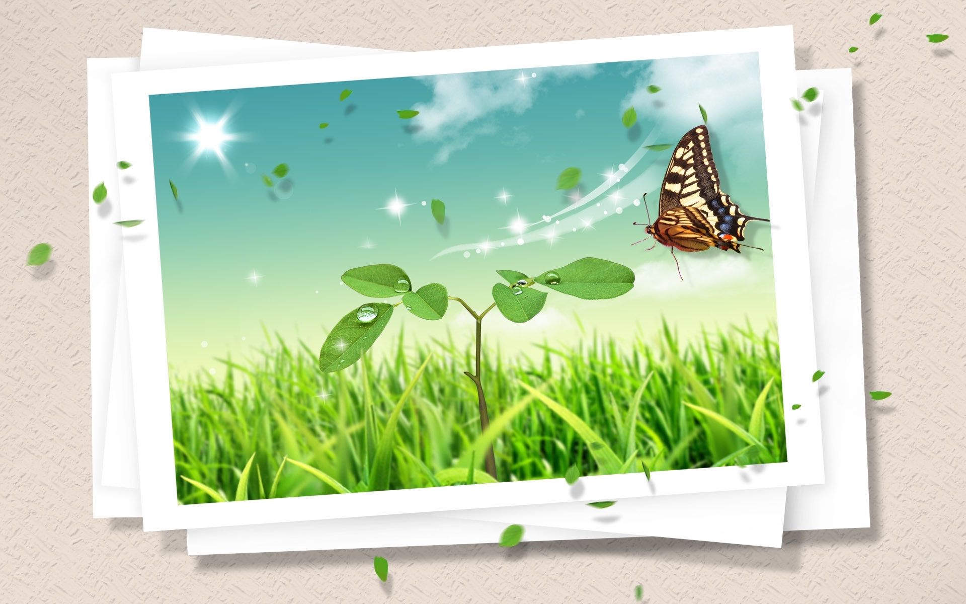 Free download wallpaper Plants, Grass, Insects, Butterflies on your PC desktop