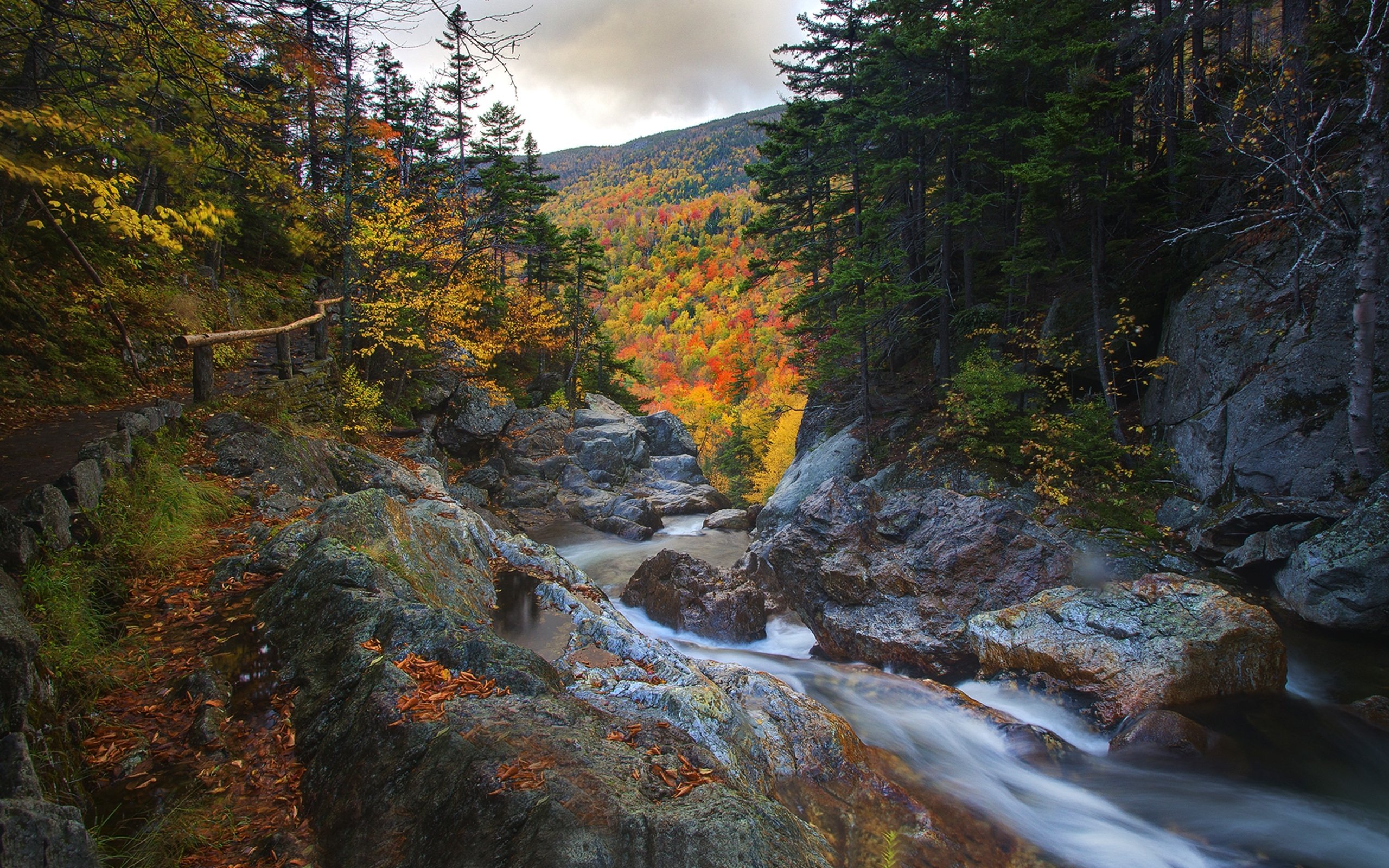 Скачать обои бесплатно Пейзаж, Река, Осень, Гора, Лес, Земля/природа картинка на рабочий стол ПК