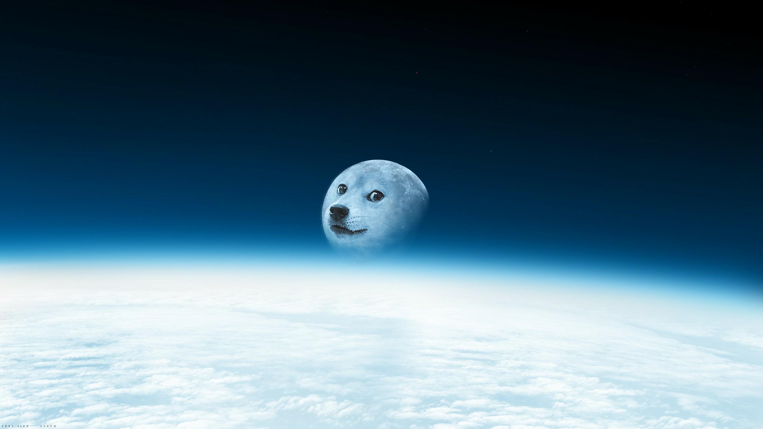 doge, humor, moon