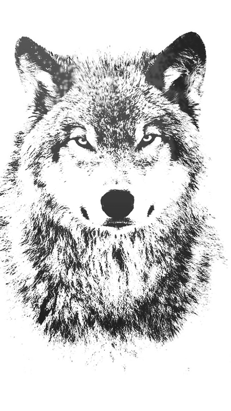 Baixar papel de parede para celular de Animais, Lobos, Lobo gratuito.