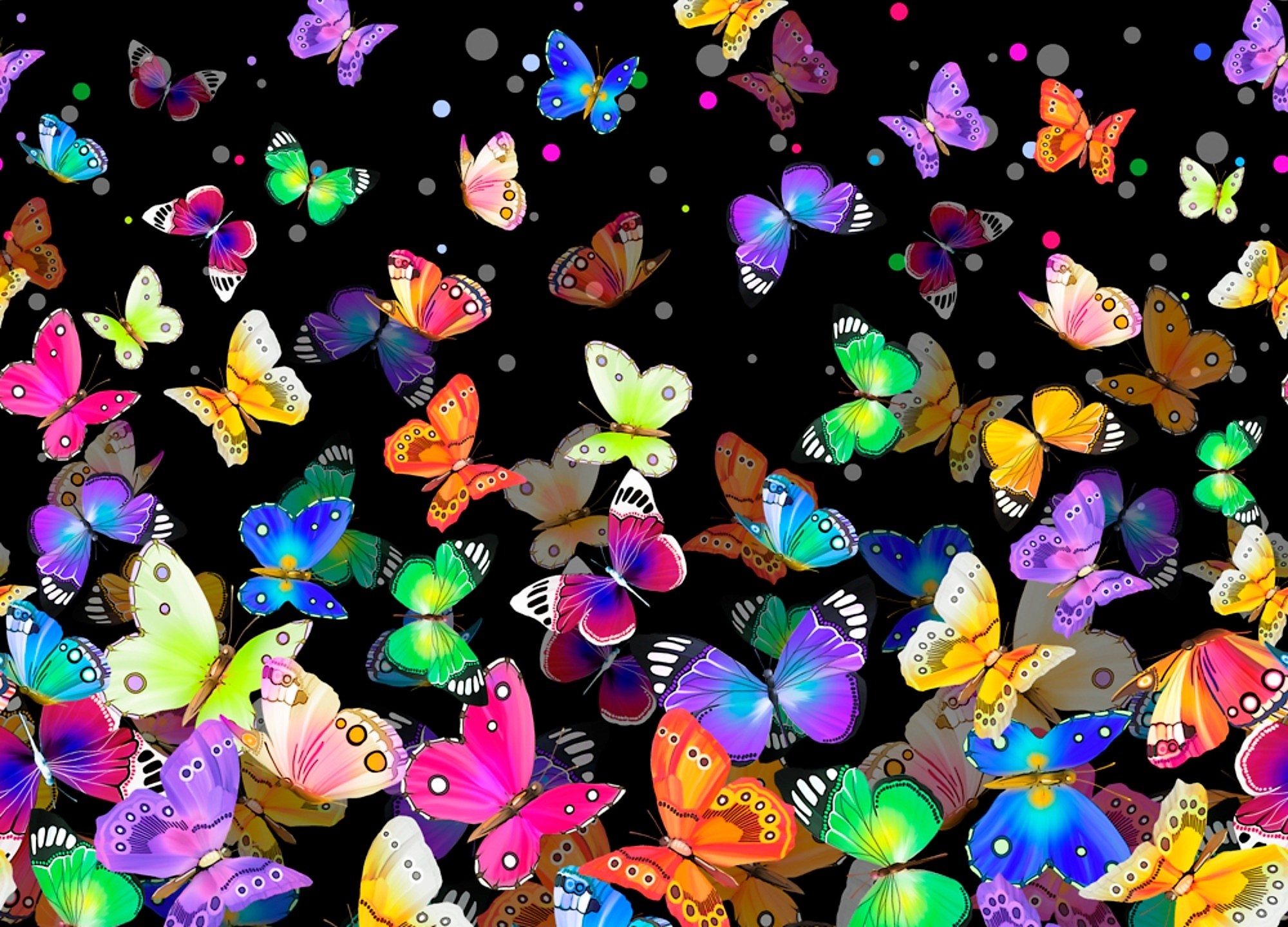 PCデスクトップに蝶, 明るい, カラフル, 芸術的画像を無料でダウンロード