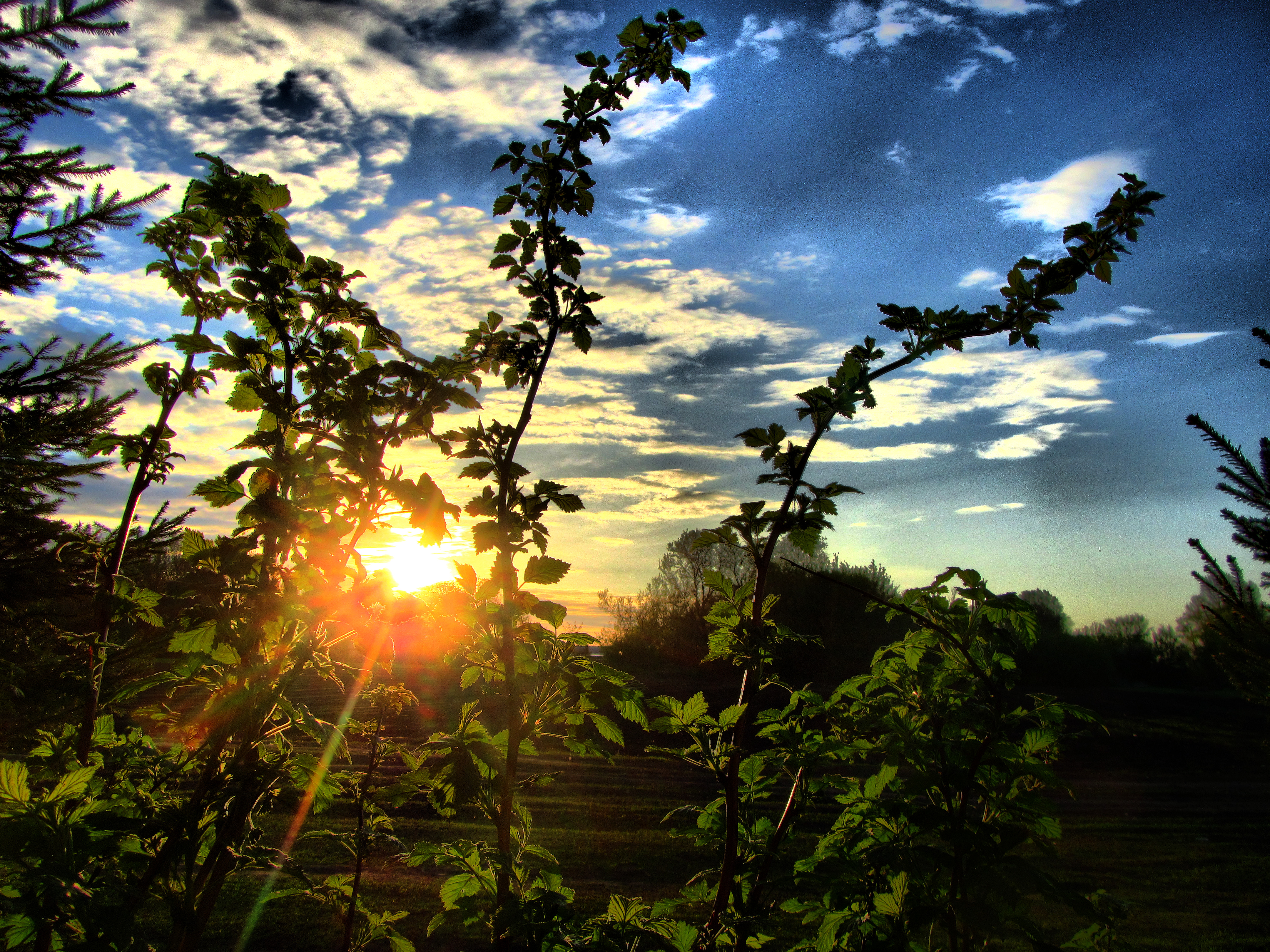 Téléchargez des papiers peints mobile Terre/nature, Lever De Soleil gratuitement.