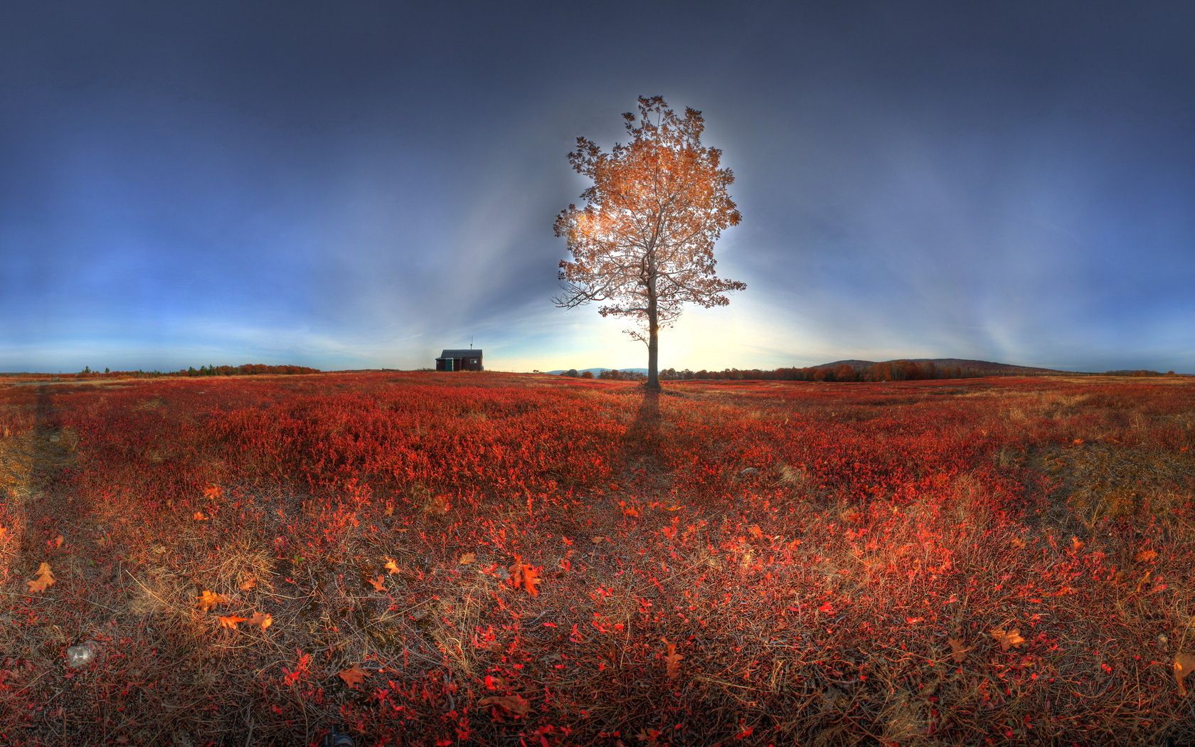 Free download wallpaper Shine, Wood, Tree, Nature, Light, Landscape, Autumn on your PC desktop