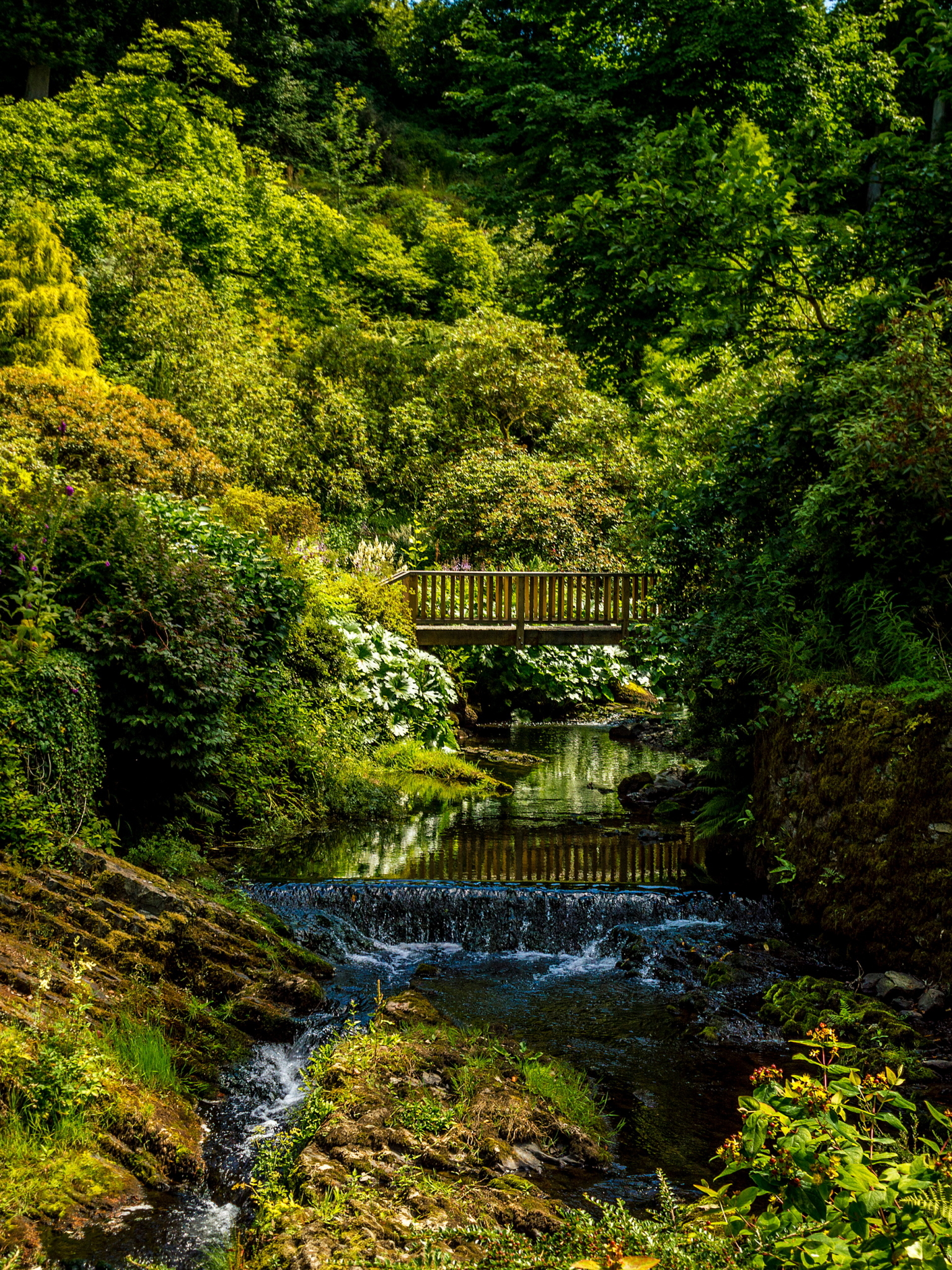 Download mobile wallpaper Park, Bridge, Spring, Photography, Greenery for free.