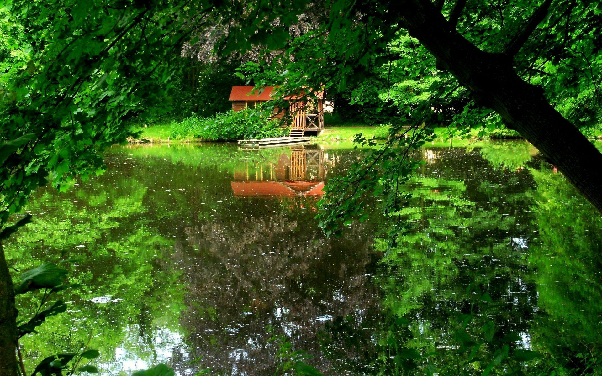 71566 скачать обои домик, отражение, природа, деревья, лето, озеро, причал - заставки и картинки бесплатно