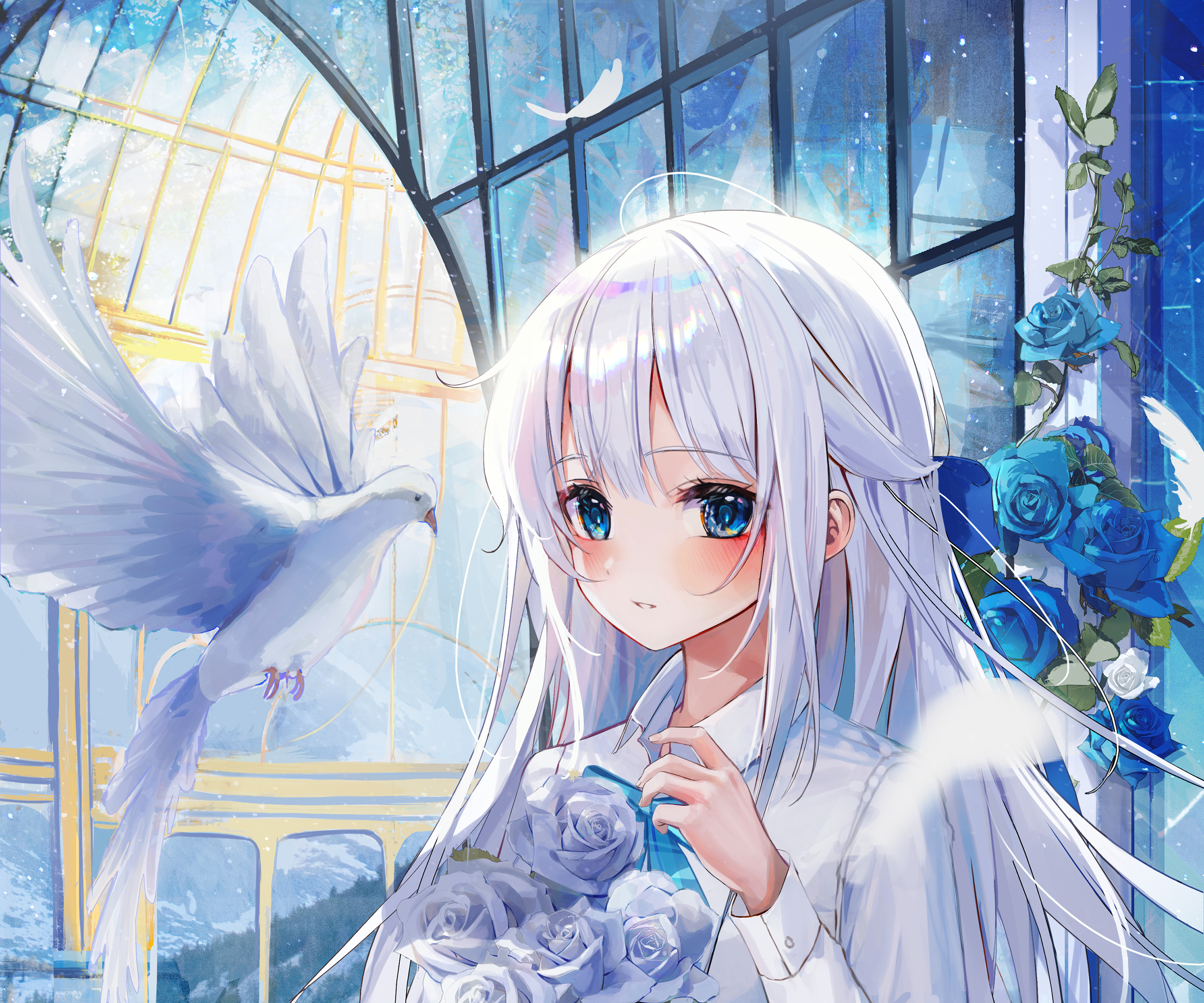 Free download wallpaper Anime, Bird, Girl, Blue Eyes, White Hair on your PC desktop