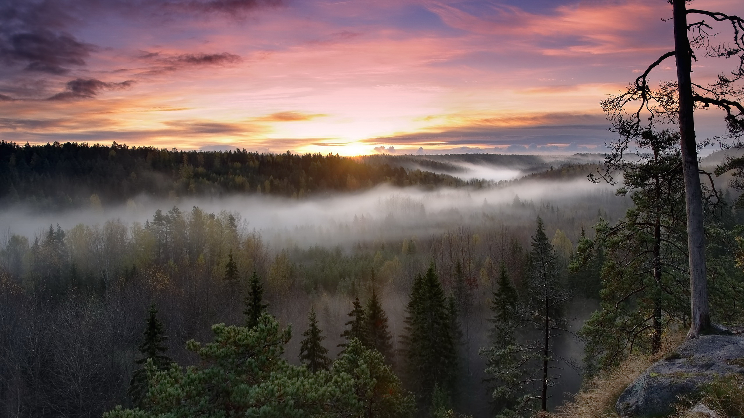 Descargar fondos de escritorio de Parque Nacional De Noux HD