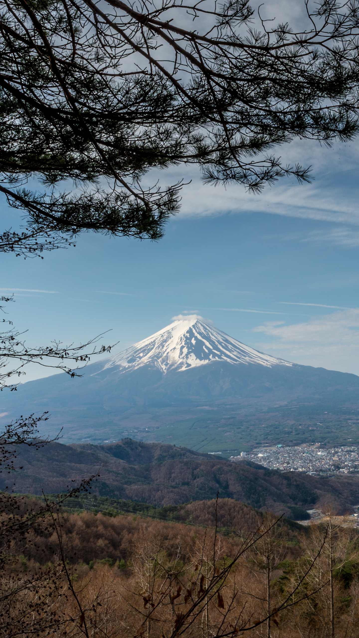 Téléchargez gratuitement l'image Japon, Printemps, Mont Fuji, Volcans, Terre/nature, Yamanashi, Le Printemps sur le bureau de votre PC