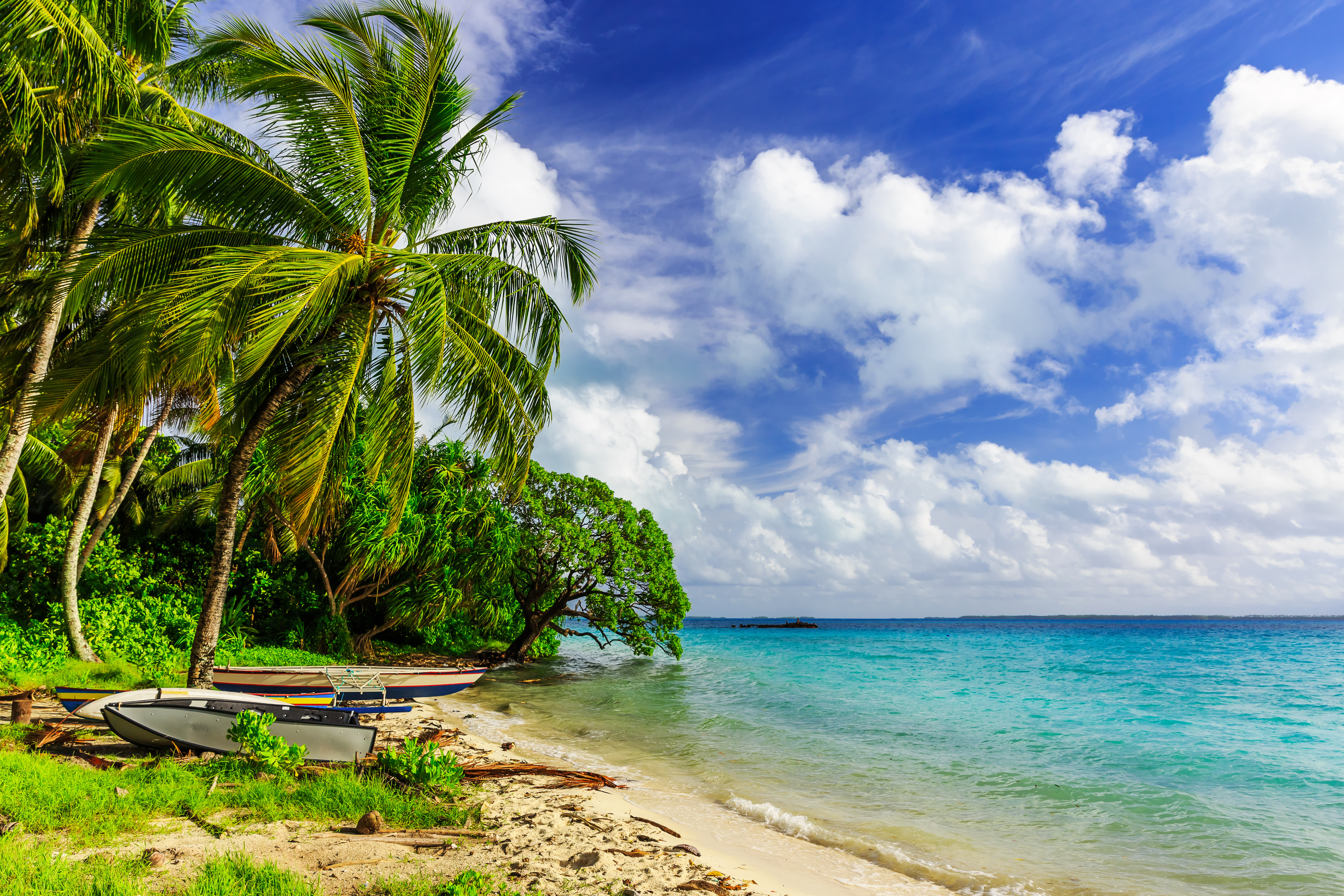 Baixe gratuitamente a imagem Mar, Praia, Oceano, Palmeira, Barco, Tropical, Terra/natureza na área de trabalho do seu PC