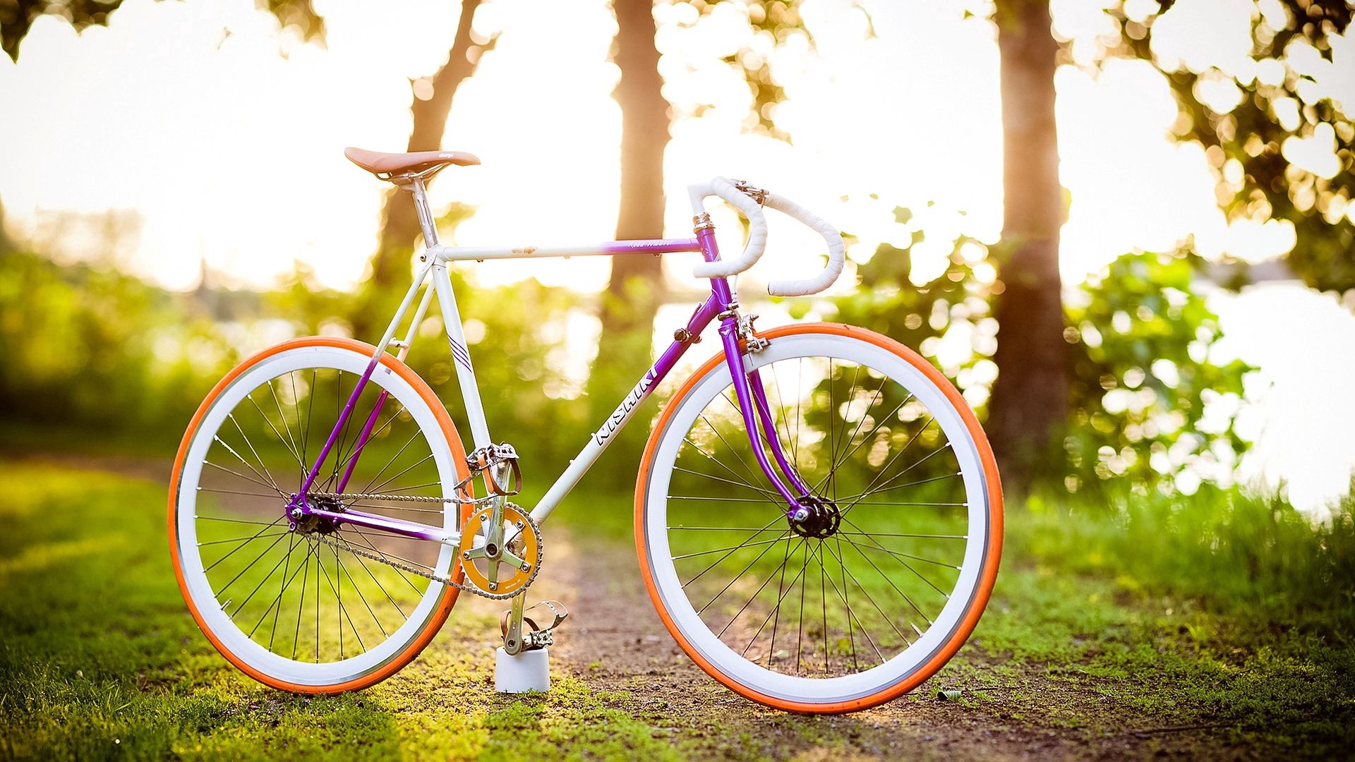 Download mobile wallpaper Miscellanea, Miscellaneous, Summer, Sun, Spring, Mood, Bicycle for free.