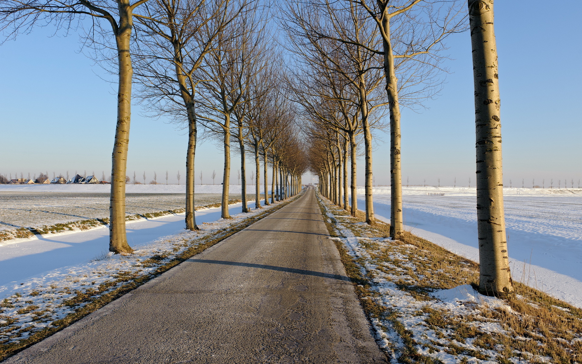 Free download wallpaper Winter, Snow, Road, Tree, Earth on your PC desktop