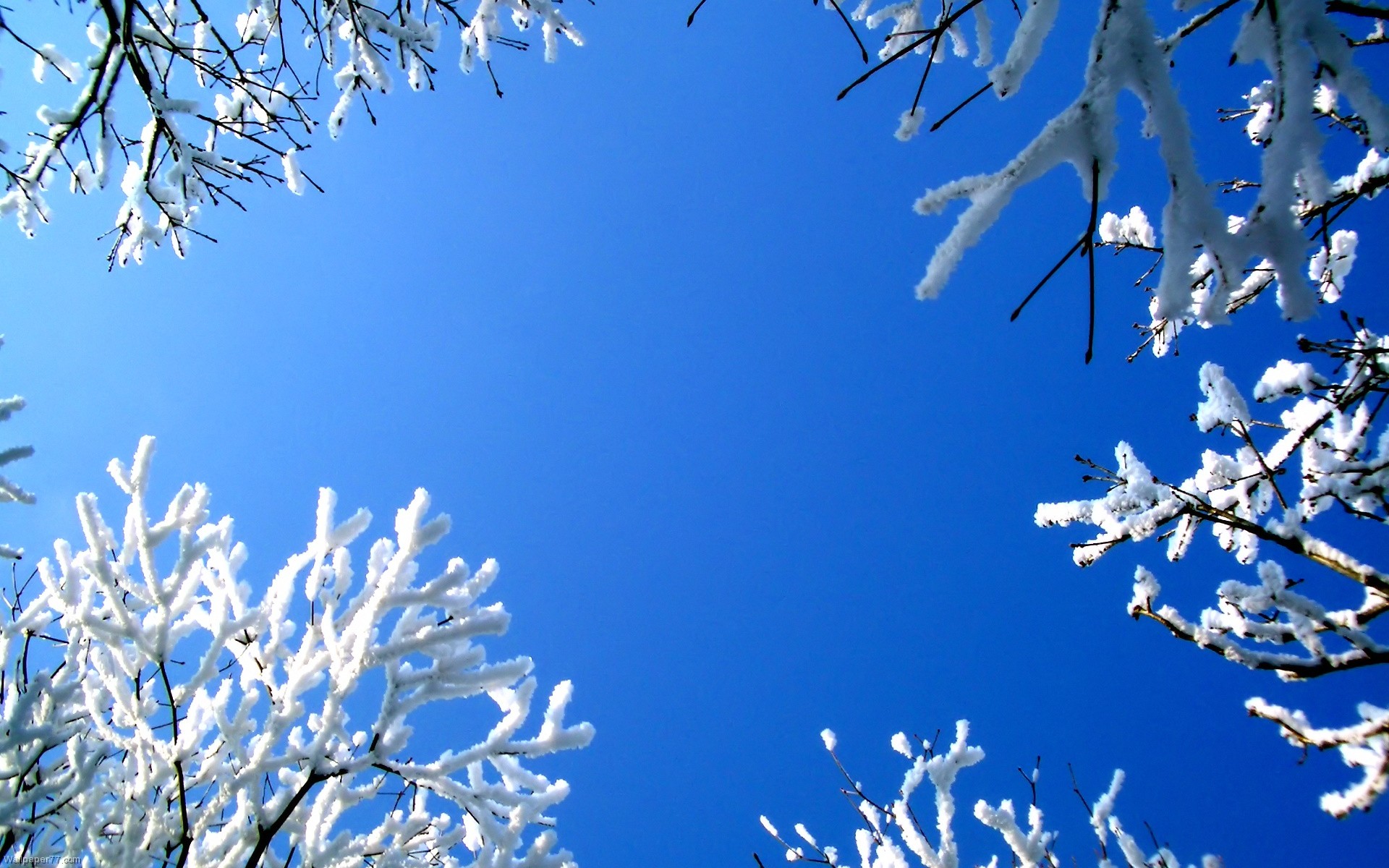 Téléchargez gratuitement l'image Hiver, Terre/nature sur le bureau de votre PC