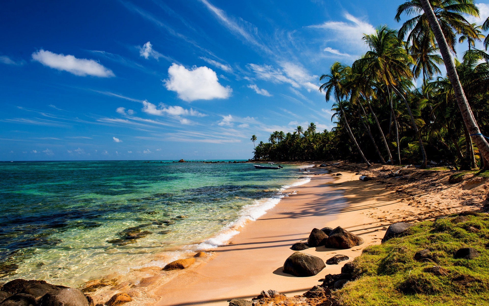 Free download wallpaper Tropics, Tropical, Photography, Palm Tree, Seashore on your PC desktop