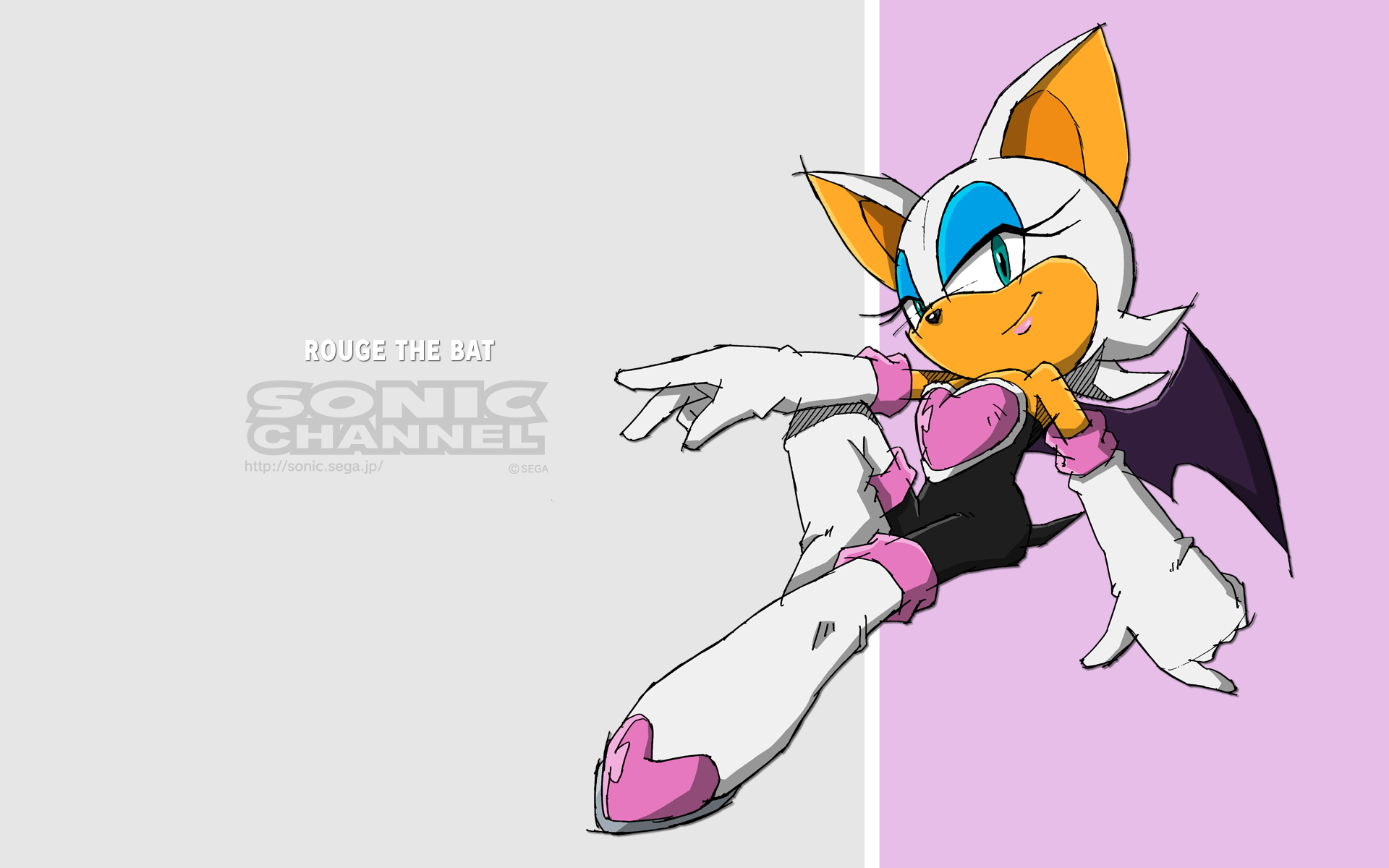 video game, sonic the hedgehog, rouge the bat, sonic