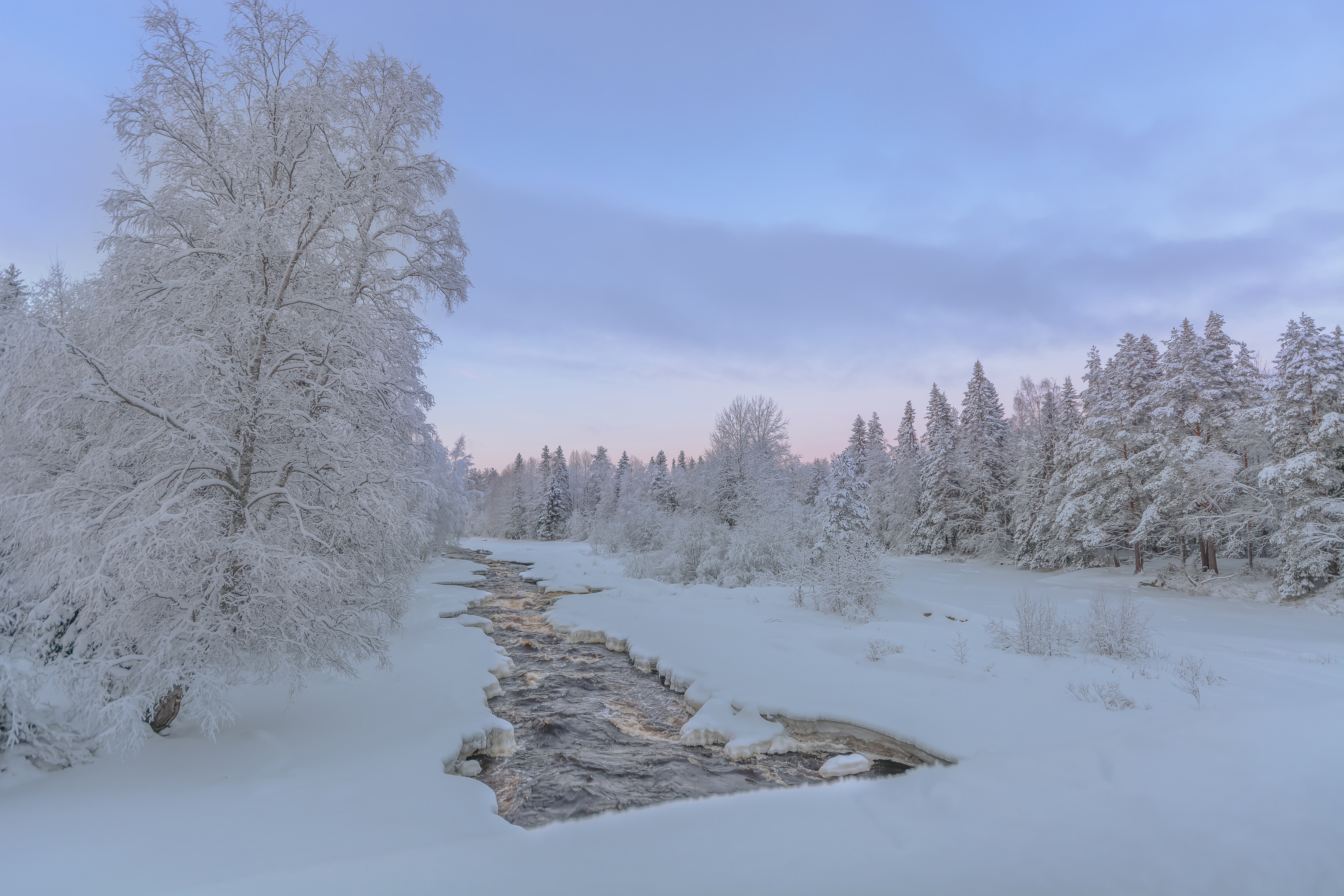 Скачать картинку Зима, Природа, Река, Снег, Лес, Дерево, Белый, Земля/природа в телефон бесплатно.