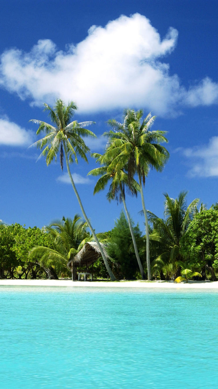 Download mobile wallpaper Sea, Beach, Tree, Earth, Cloud, Hut, Palm Tree for free.