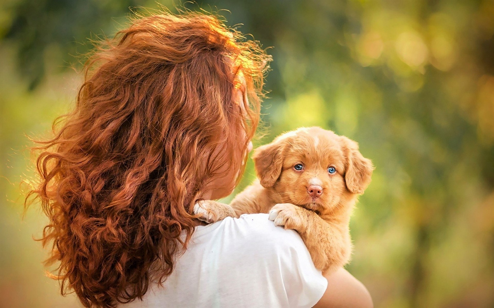 Free download wallpaper Dogs, Dog, Animal, Redhead, Puppy, Cute, Baby Animal on your PC desktop