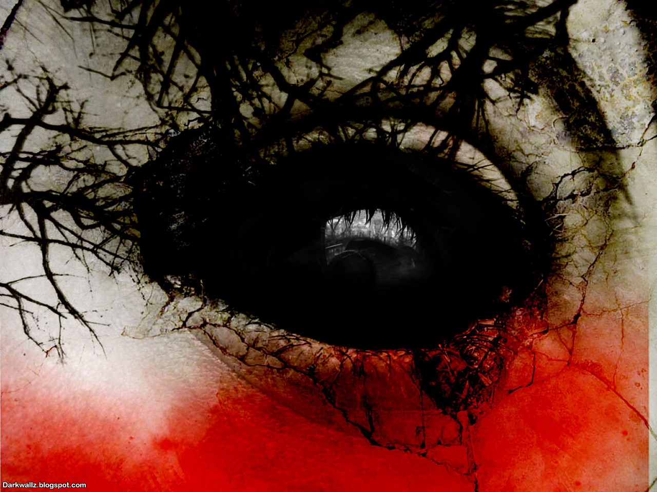 Download mobile wallpaper Dark, Eye for free.