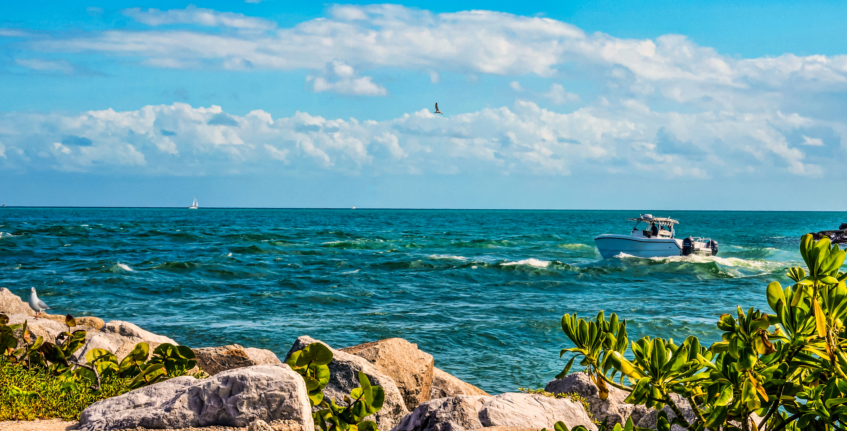 Download mobile wallpaper Sea, Horizon, Ocean, Boat, Florida, Vehicles for free.