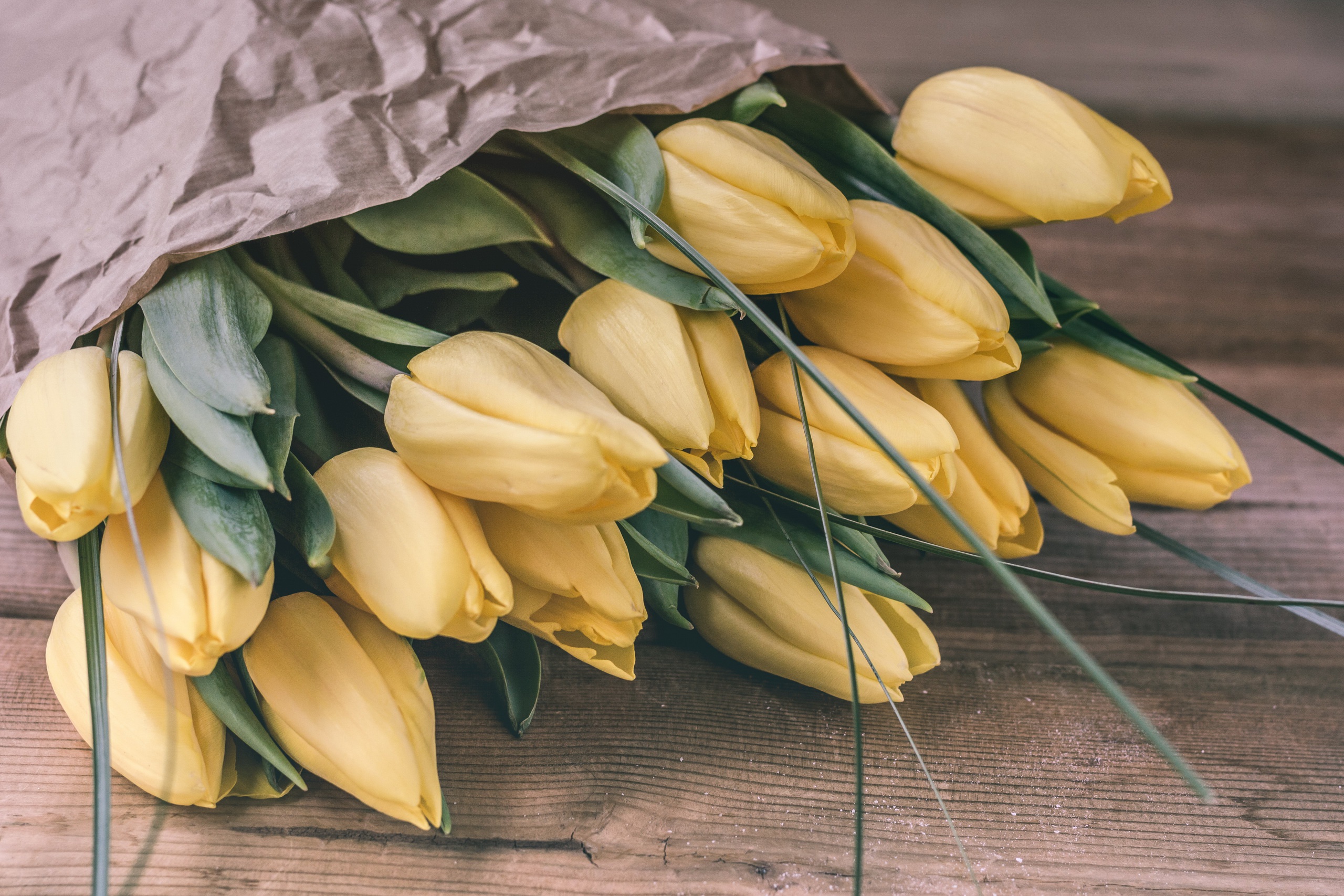 Download mobile wallpaper Flower, Bouquet, Tulip, Yellow Flower, Man Made for free.