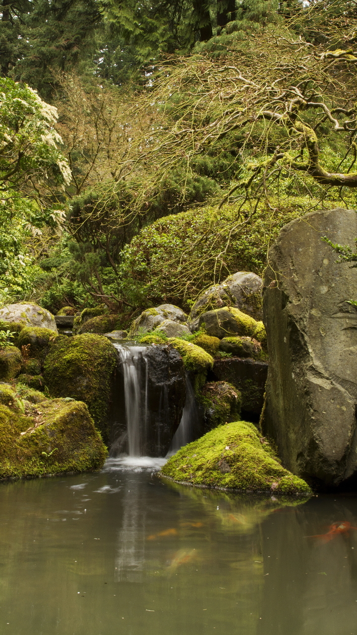 Download mobile wallpaper Nature, Bush, Waterfall, Pond, Man Made, Japanese Garden for free.