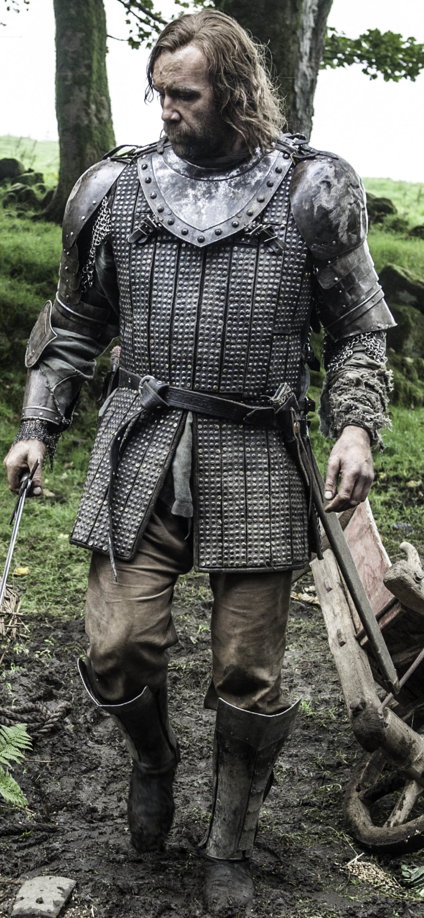 Descarga gratuita de fondo de pantalla para móvil de Juego De Tronos, Series De Televisión, Rory Mccann, Sándor Clegane.