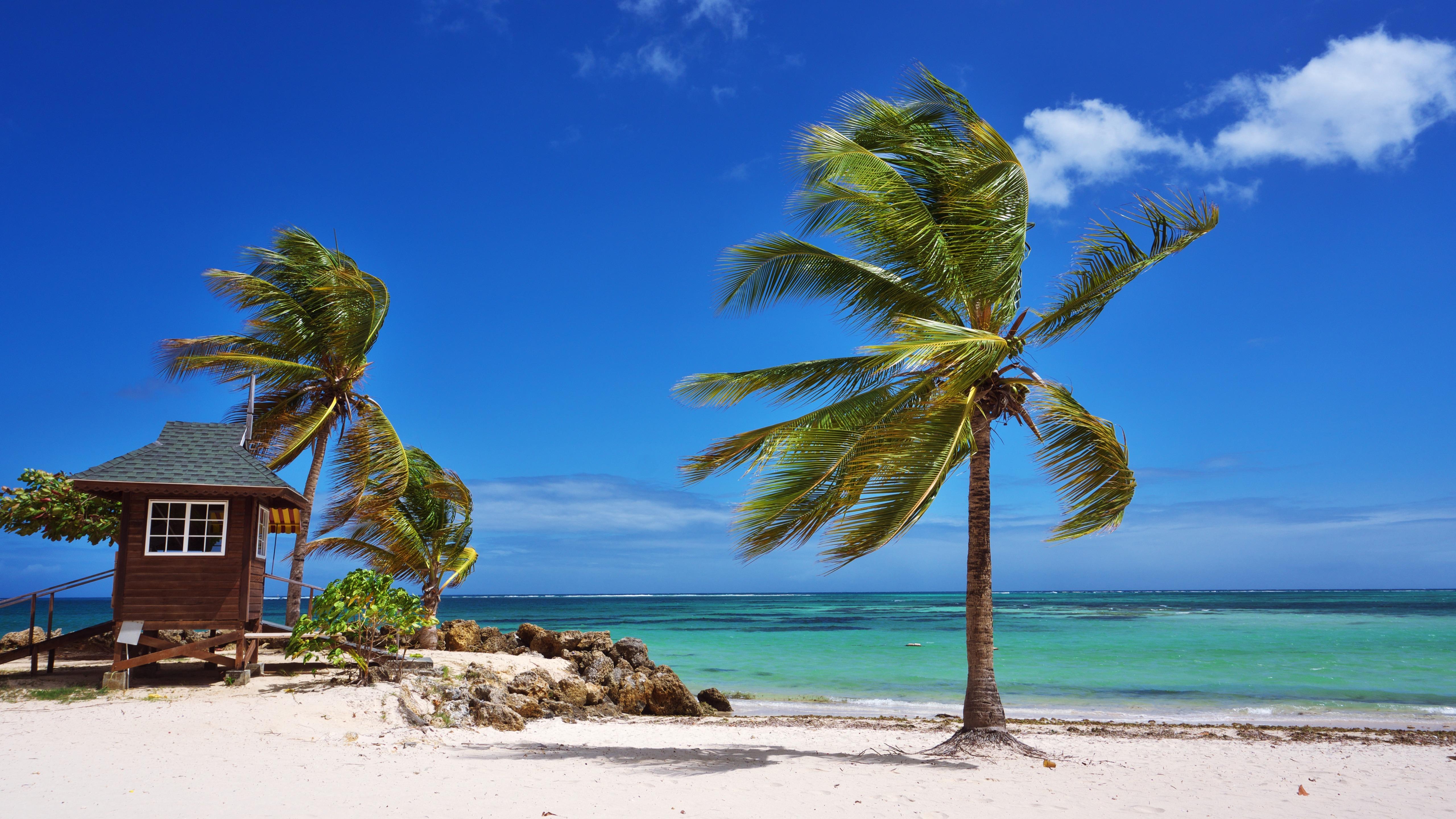 Free download wallpaper Beach, Tropical, Photography, Palm Tree on your PC desktop