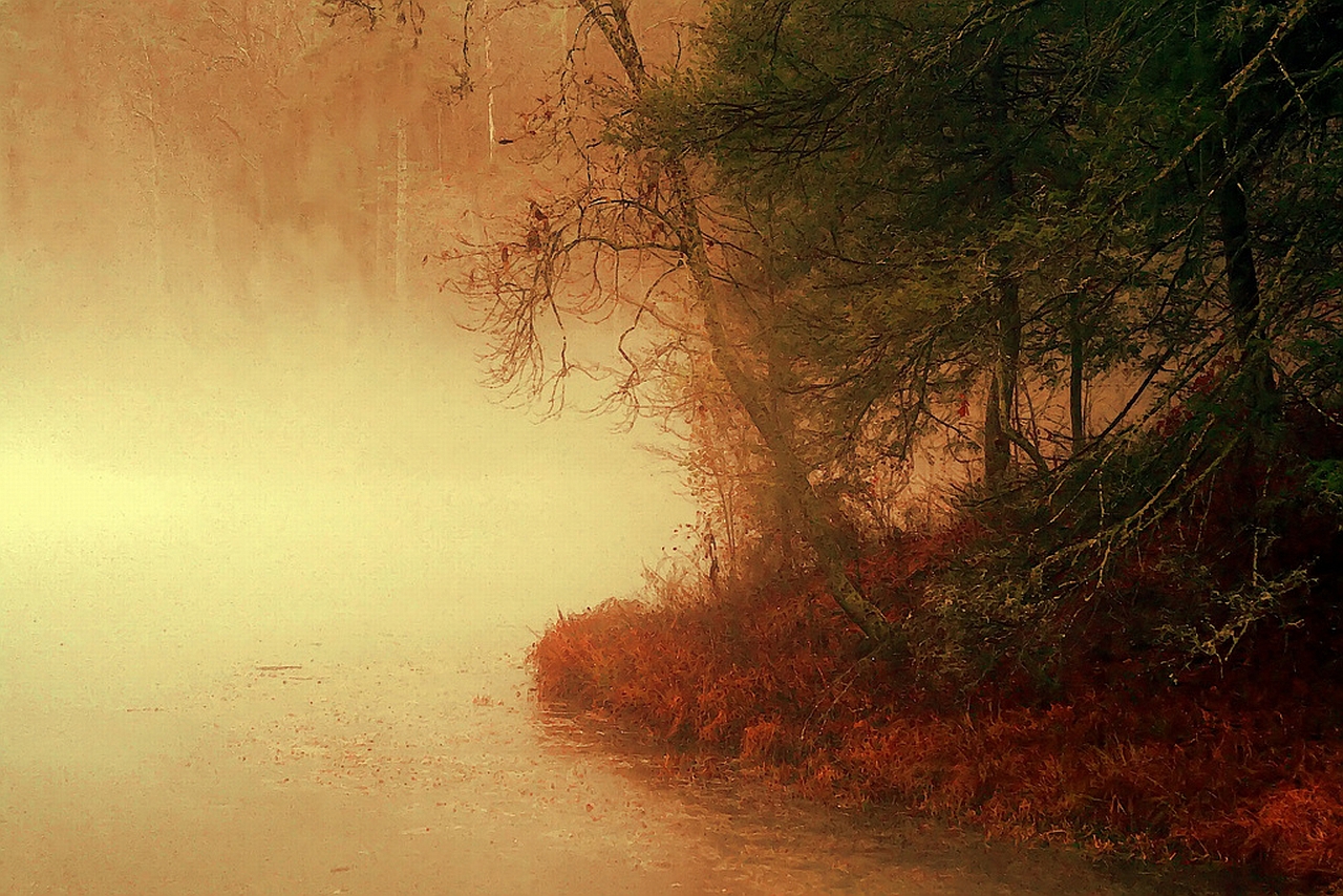 Laden Sie das Nebel, Erde/natur-Bild kostenlos auf Ihren PC-Desktop herunter
