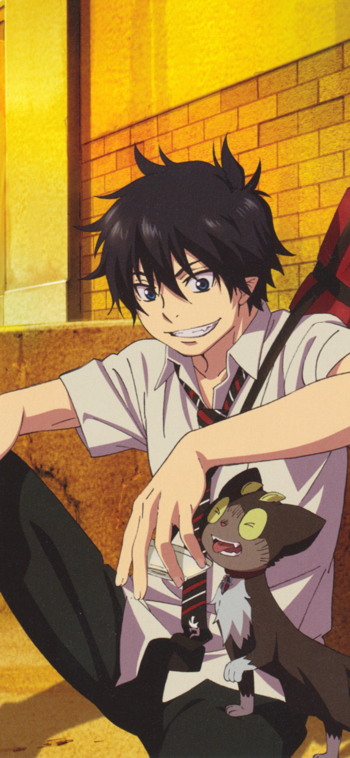 Handy-Wallpaper Animes, Blue Exorcist kostenlos herunterladen.