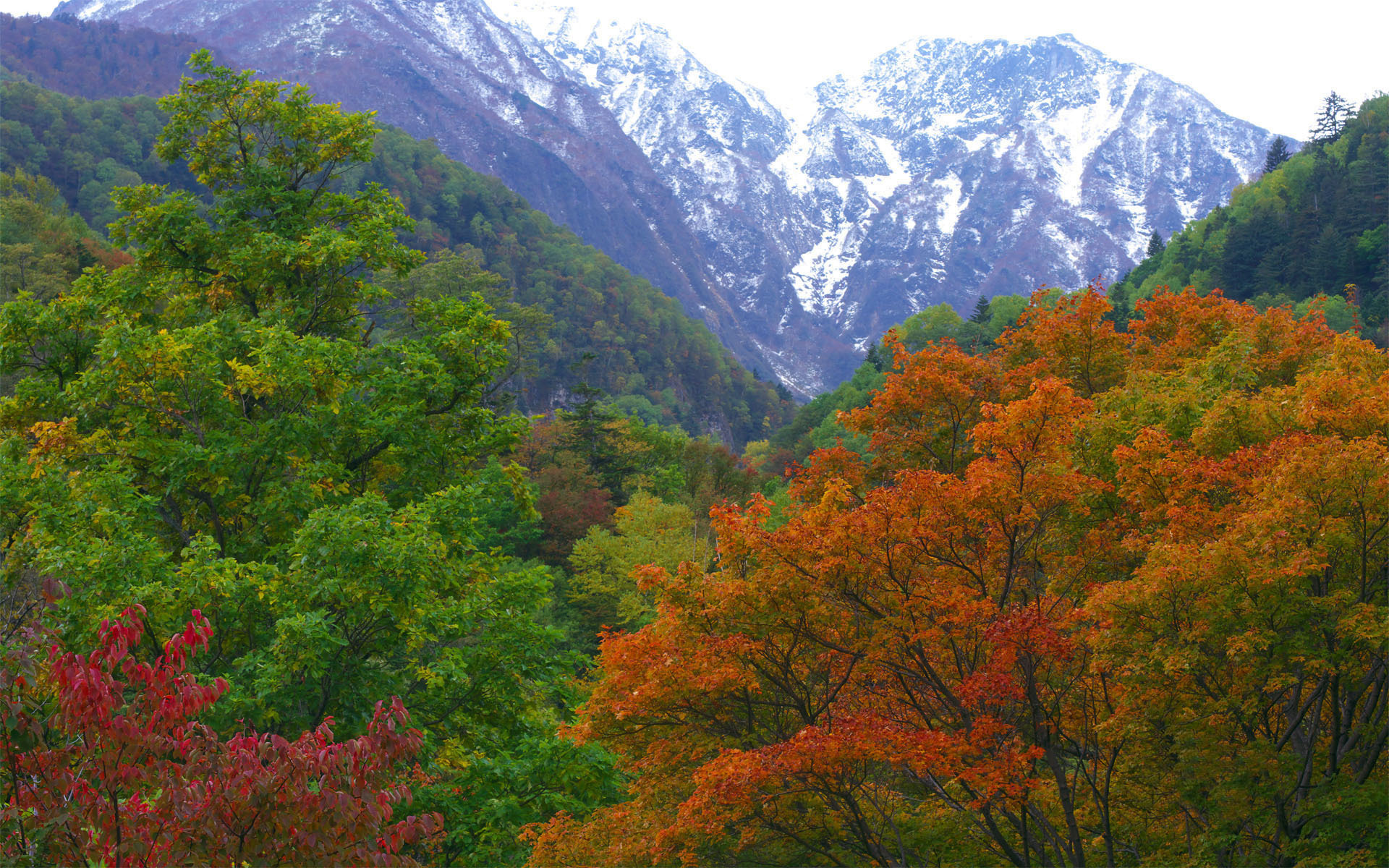 Скачать обои бесплатно Деревья, Осень, Гора, Дерево, Земля/природа картинка на рабочий стол ПК