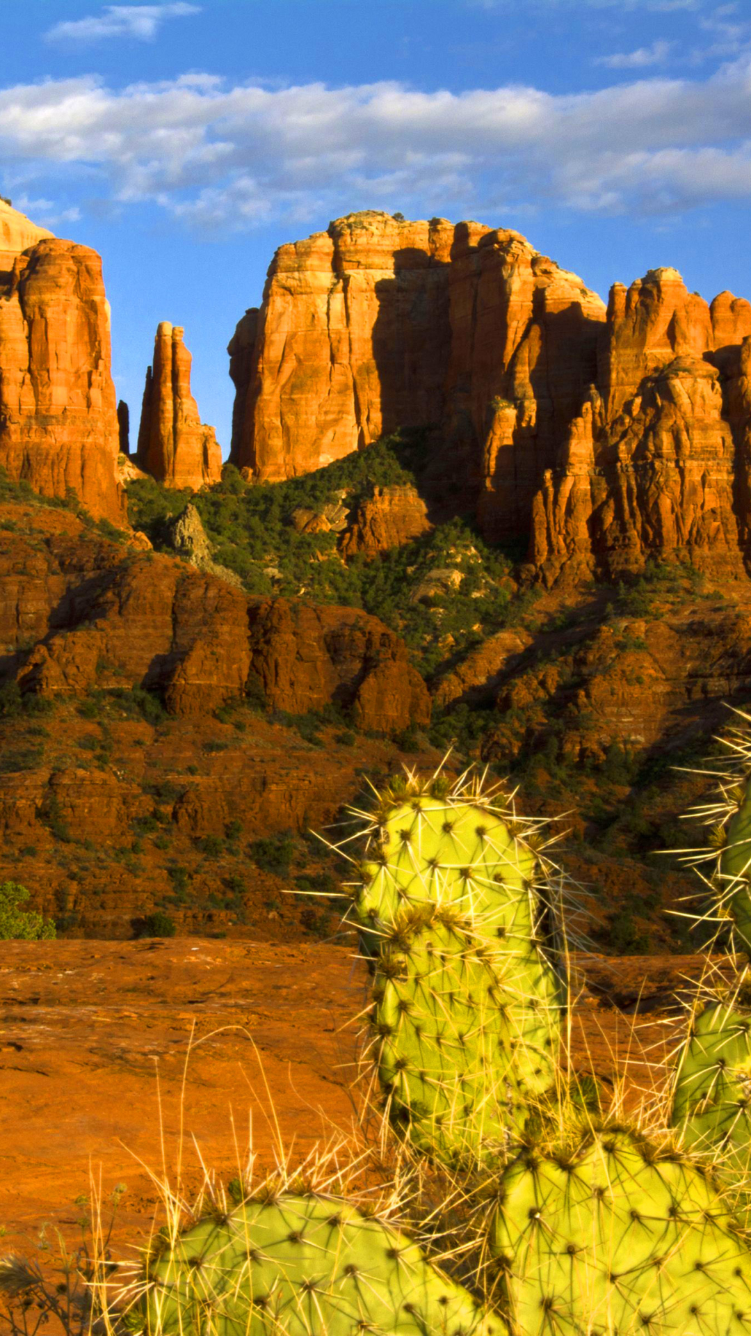 Download mobile wallpaper Desert, Earth, Cactus, Arizona, Sedona for free.