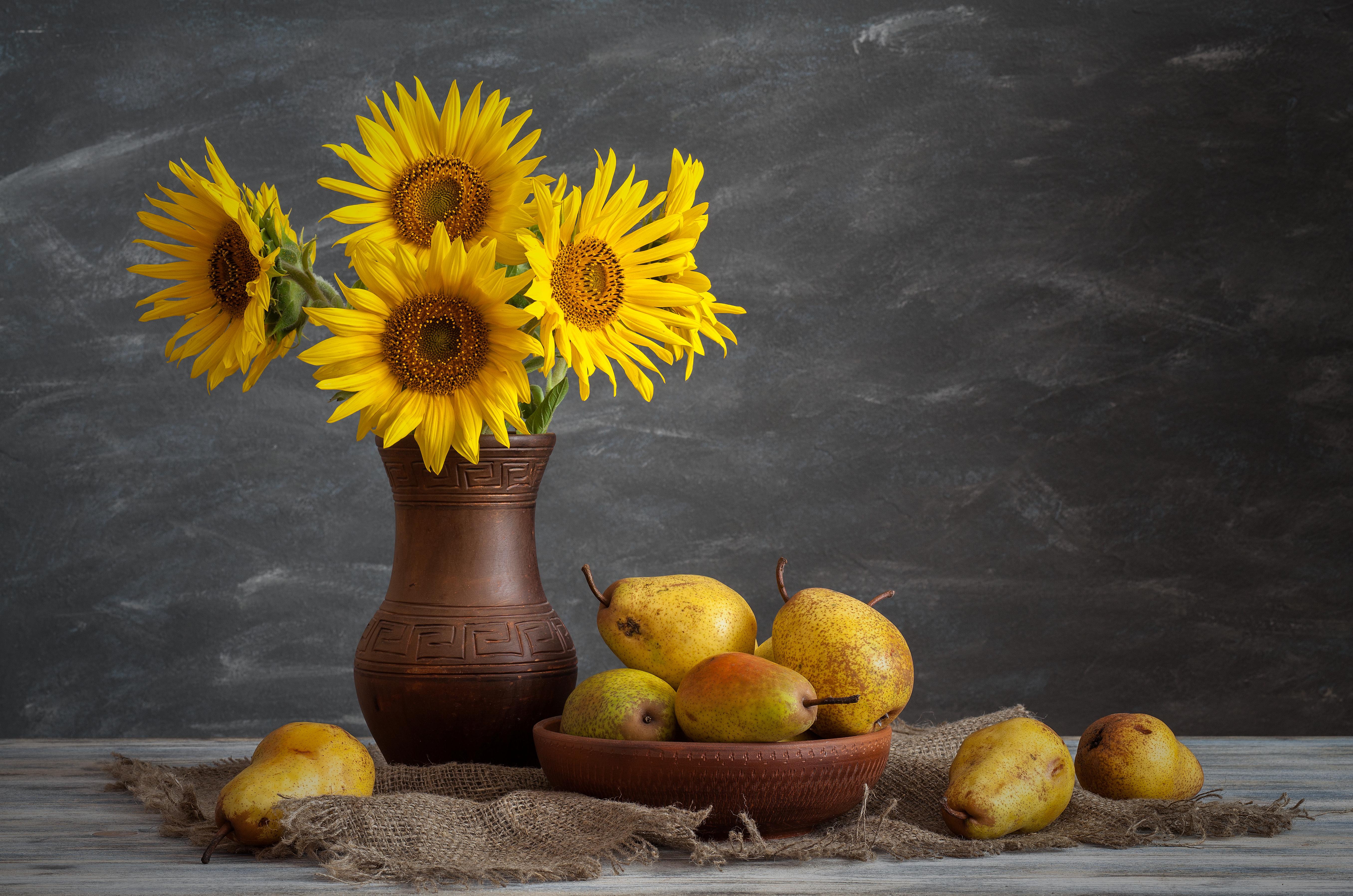 Laden Sie das Blume, Frucht, Vase, Sonnenblume, Fotografie, Birne, Gelbe Blume, Stillleben-Bild kostenlos auf Ihren PC-Desktop herunter