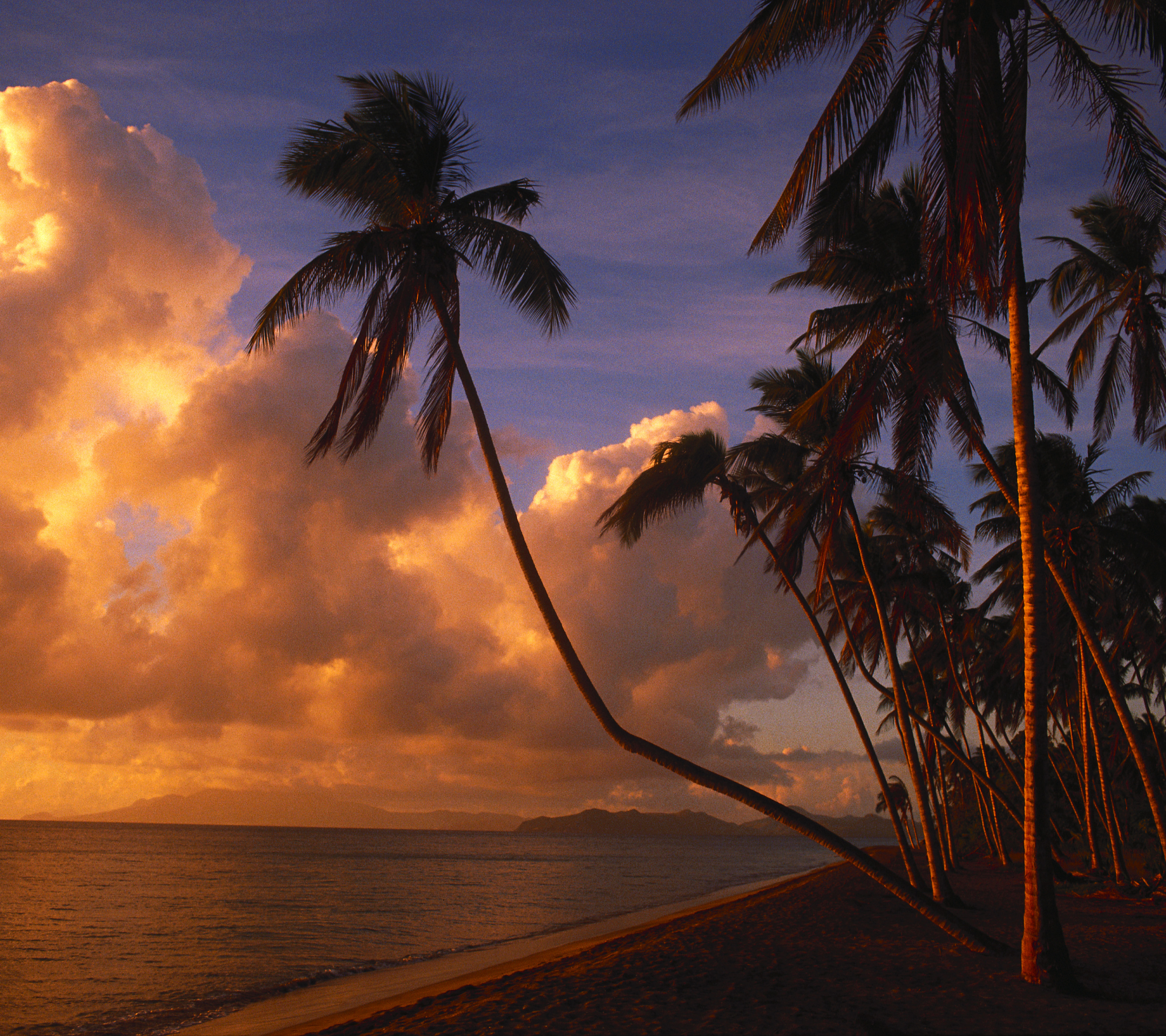 Laden Sie das Strand, Erde/natur-Bild kostenlos auf Ihren PC-Desktop herunter