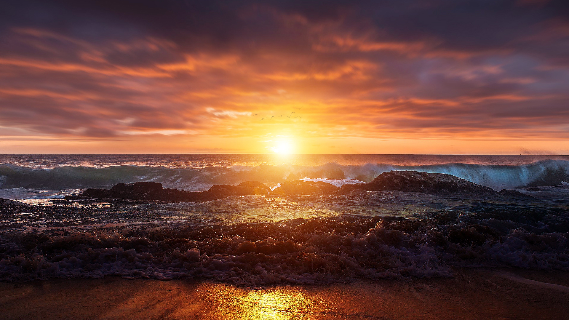 Laden Sie das Landschaft, Natur, Küste, Vogel, Ozean, Wolke, Welle, Himmel, Sonnenuntergang, Erde/natur-Bild kostenlos auf Ihren PC-Desktop herunter