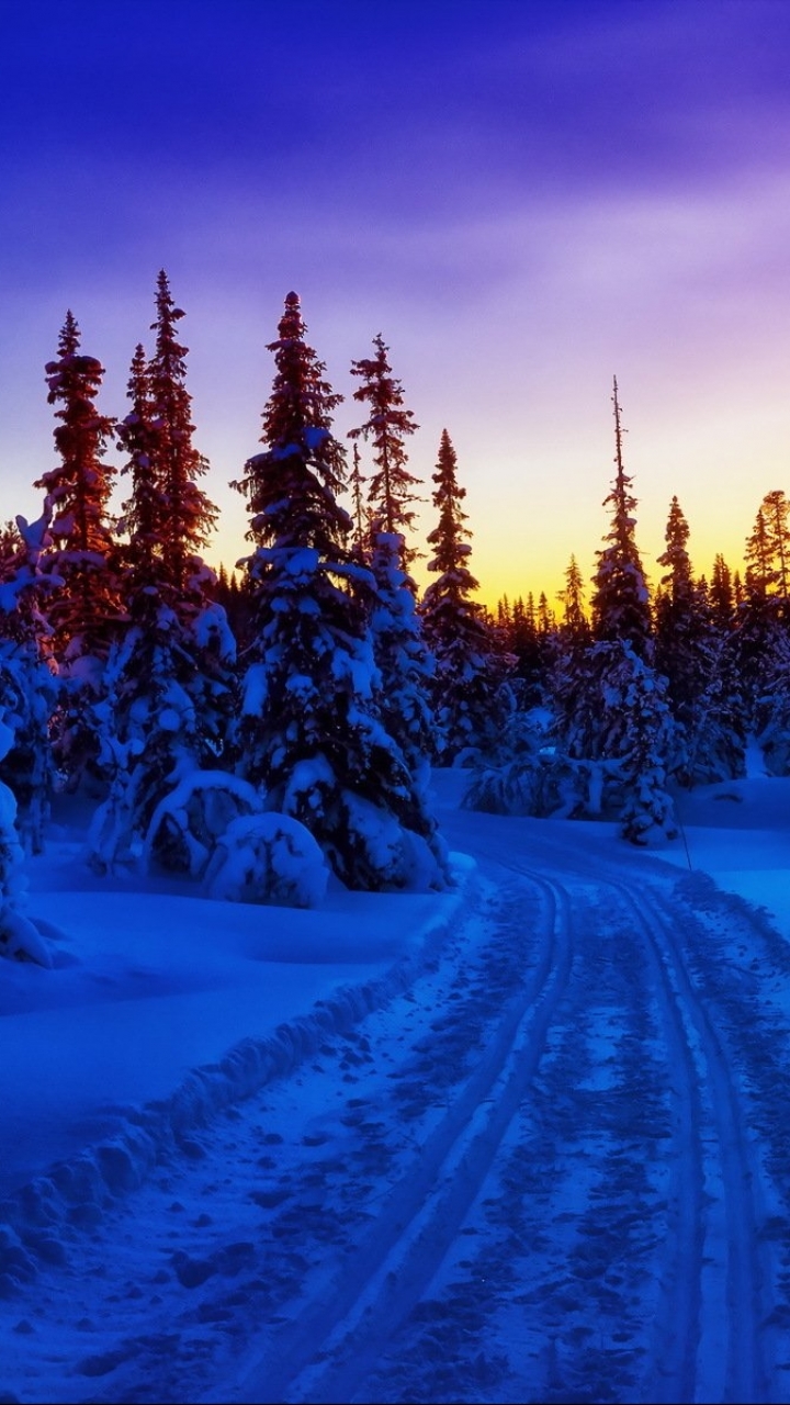 Download mobile wallpaper Winter, Sunset, Road, Tree, Earth for free.