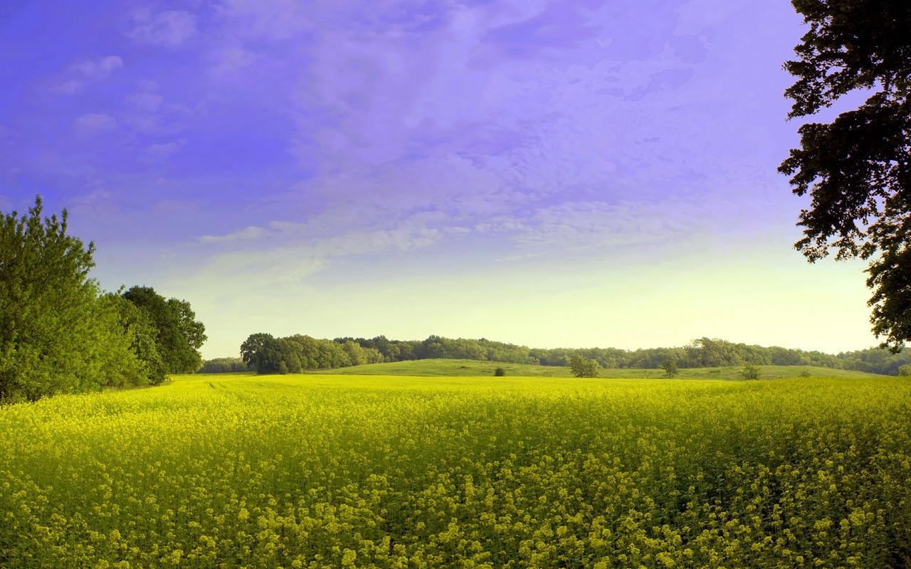 Handy-Wallpaper Landschaft, Grass, Sky kostenlos herunterladen.