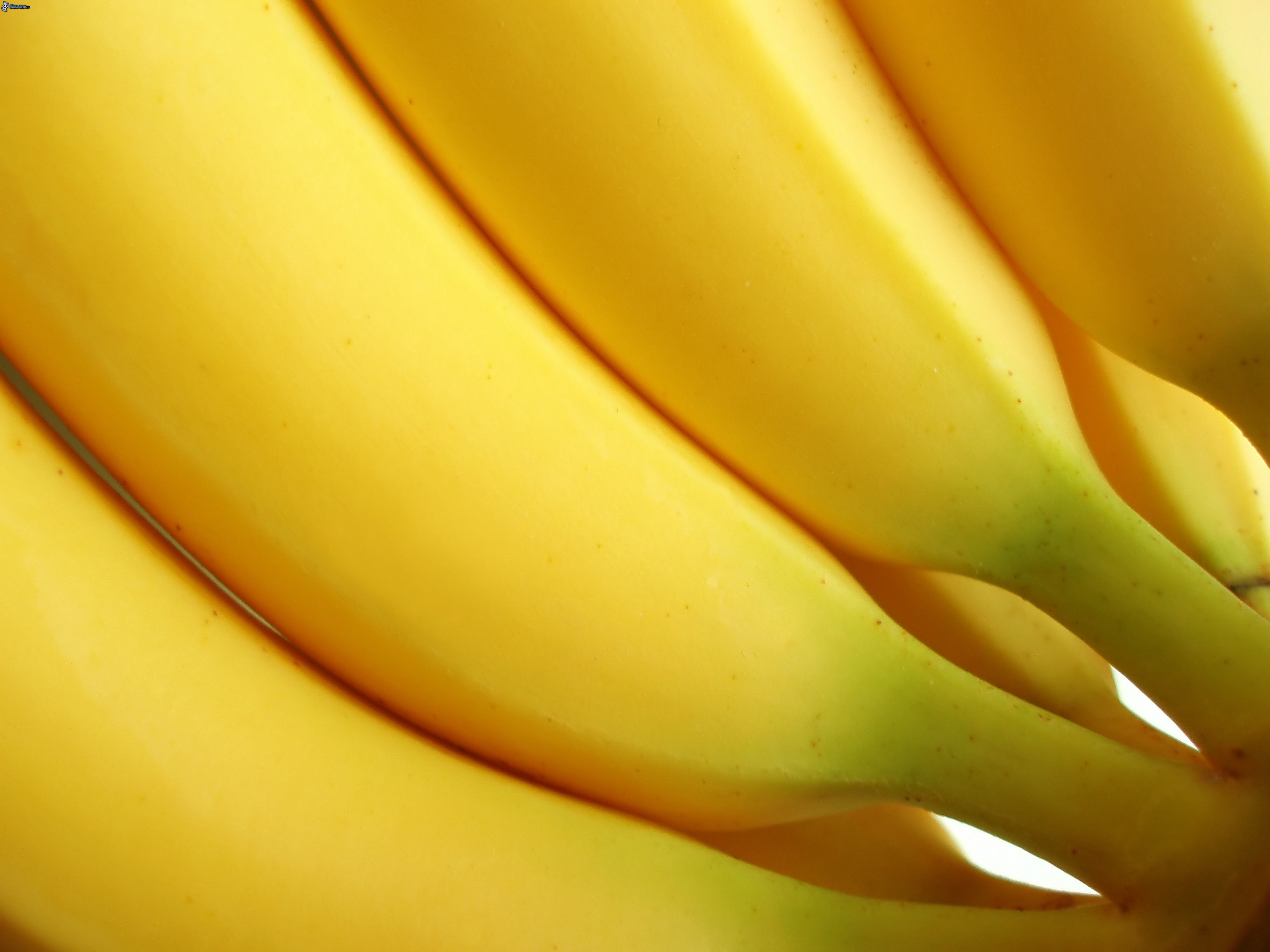 Handy-Wallpaper Banane, Früchte, Nahrungsmittel kostenlos herunterladen.