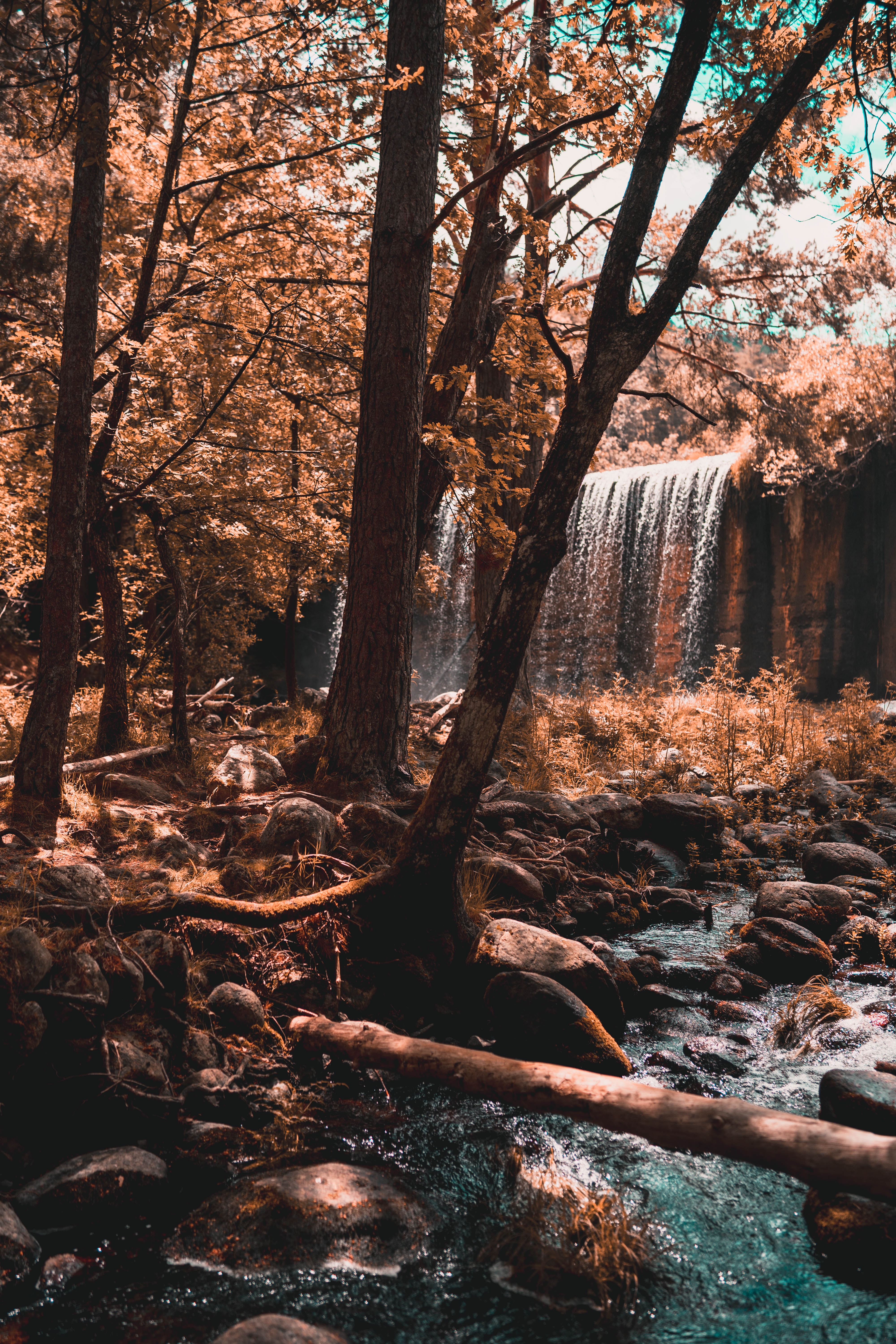 Laden Sie das Natur, Bäume, Wasserfall, Wald, Flüsse, Herbst-Bild kostenlos auf Ihren PC-Desktop herunter