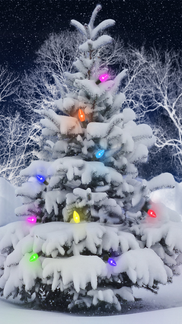 Téléchargez des papiers peints mobile Noël, Vacances, Sapin De Noël, Neiger, Lumières De Noël gratuitement.