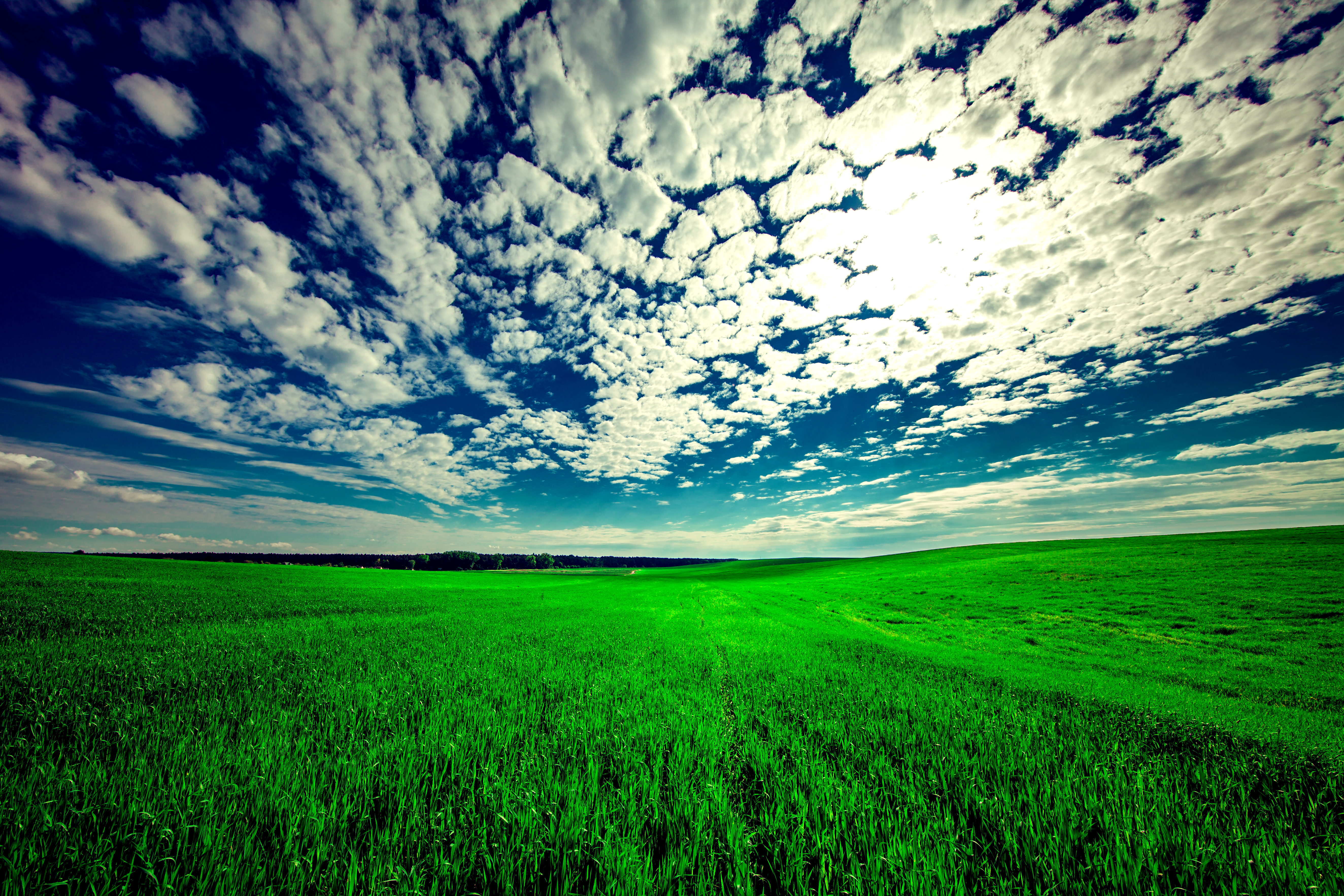 green, grass, nature, sky, summer, clouds, field