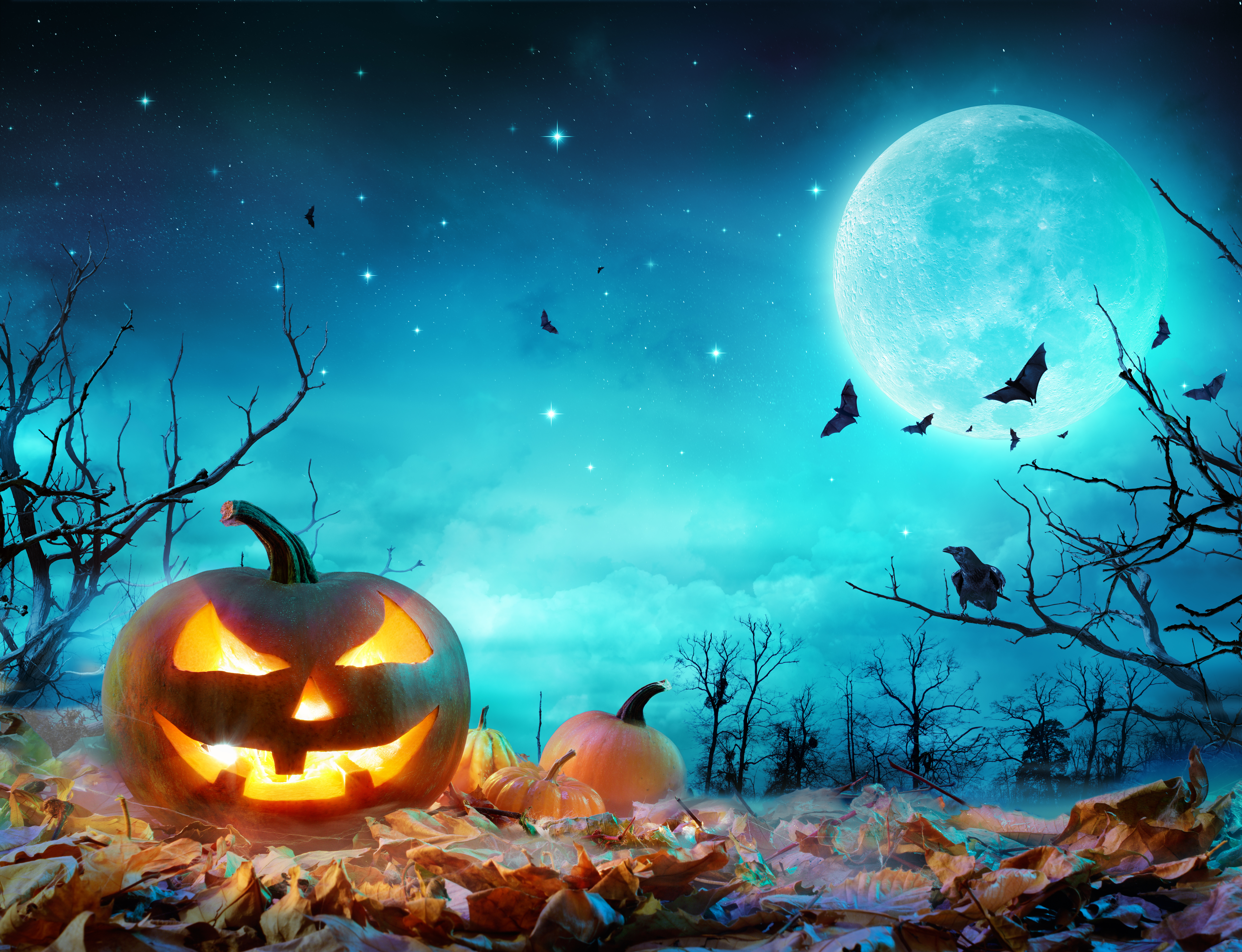 Download mobile wallpaper Halloween, Moon, Holiday, Jack O' Lantern for free.