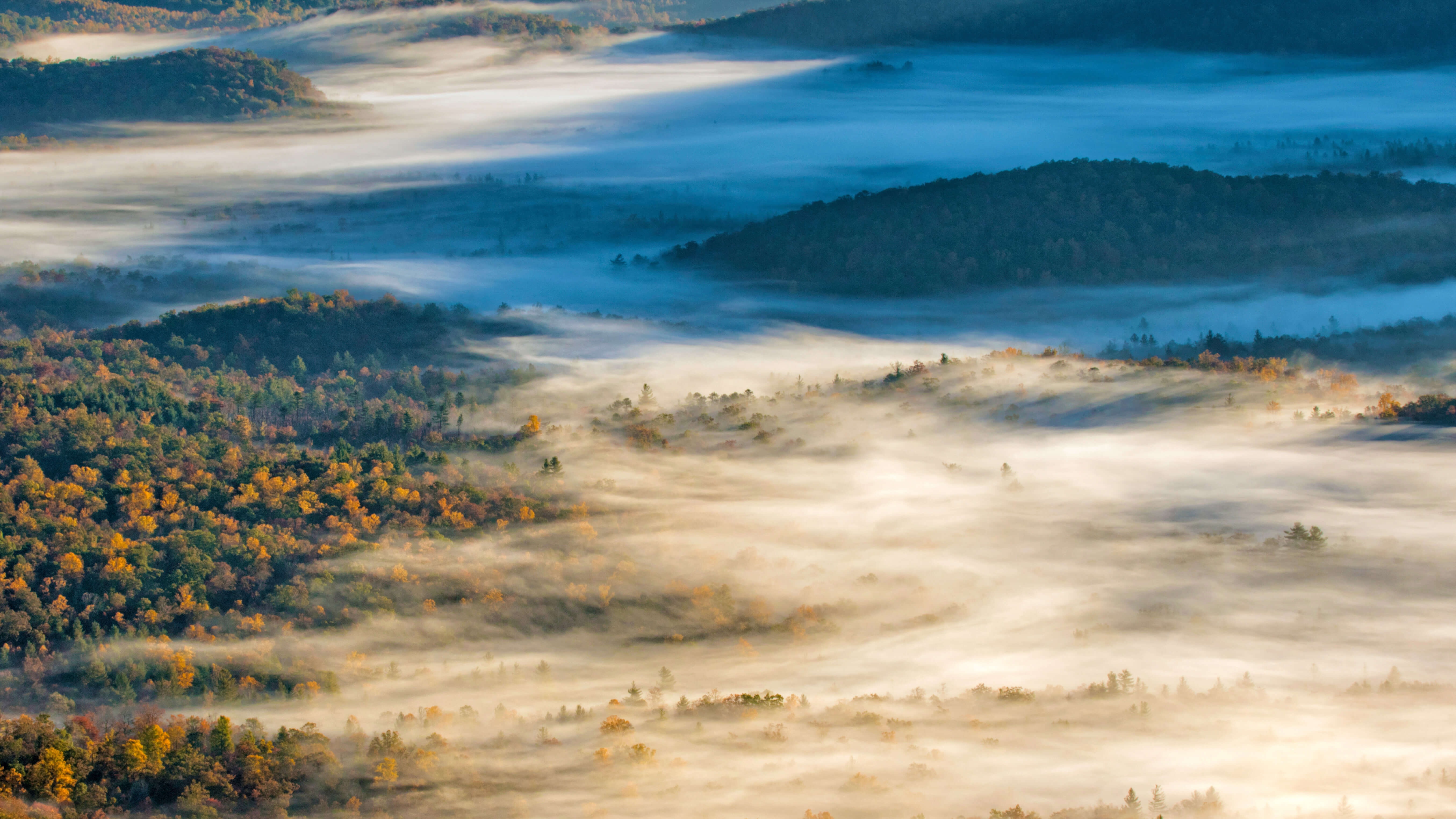 Descarga gratuita de fondo de pantalla para móvil de Paisaje, Bosque, Niebla, Tierra/naturaleza.